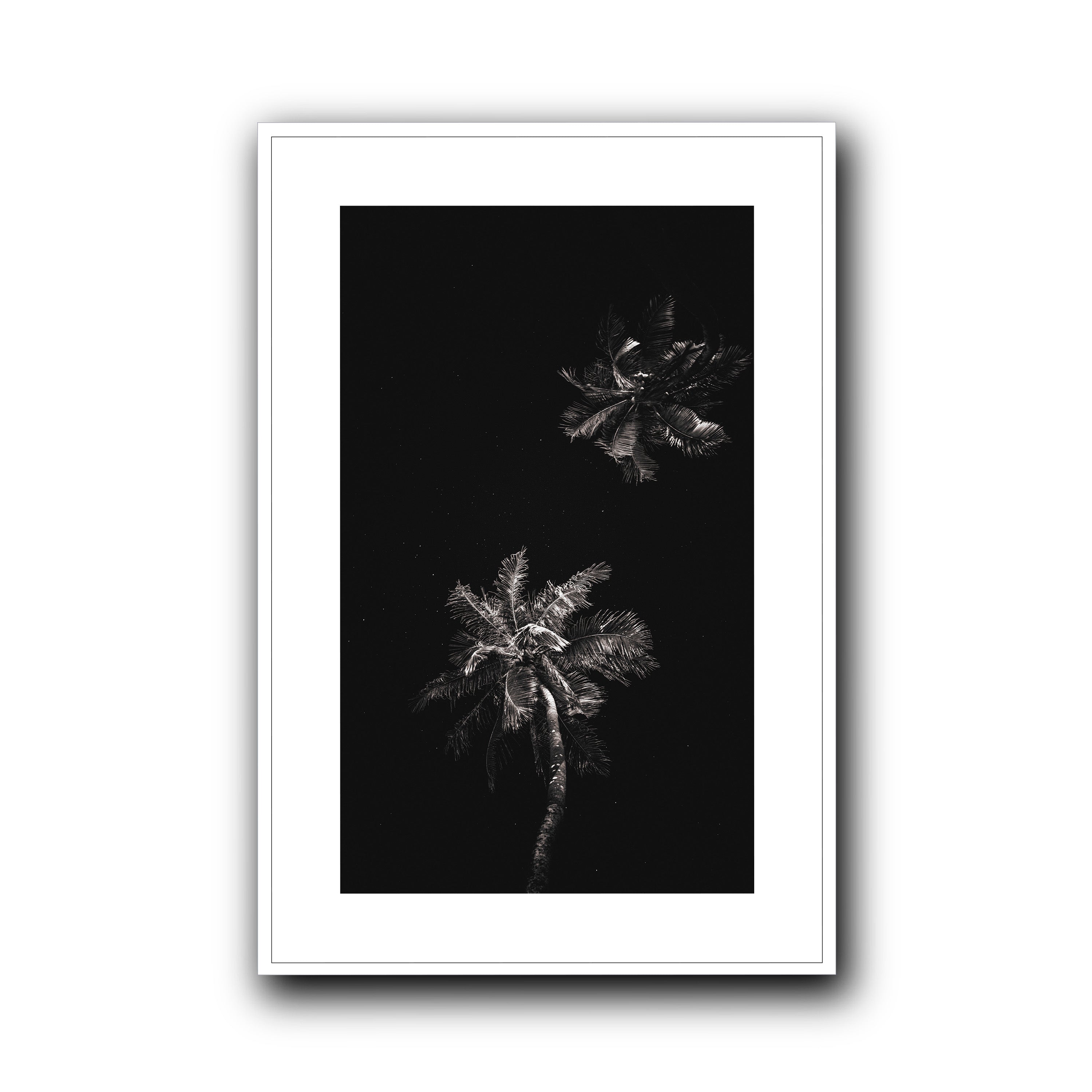 Dark Coco, Tahiti