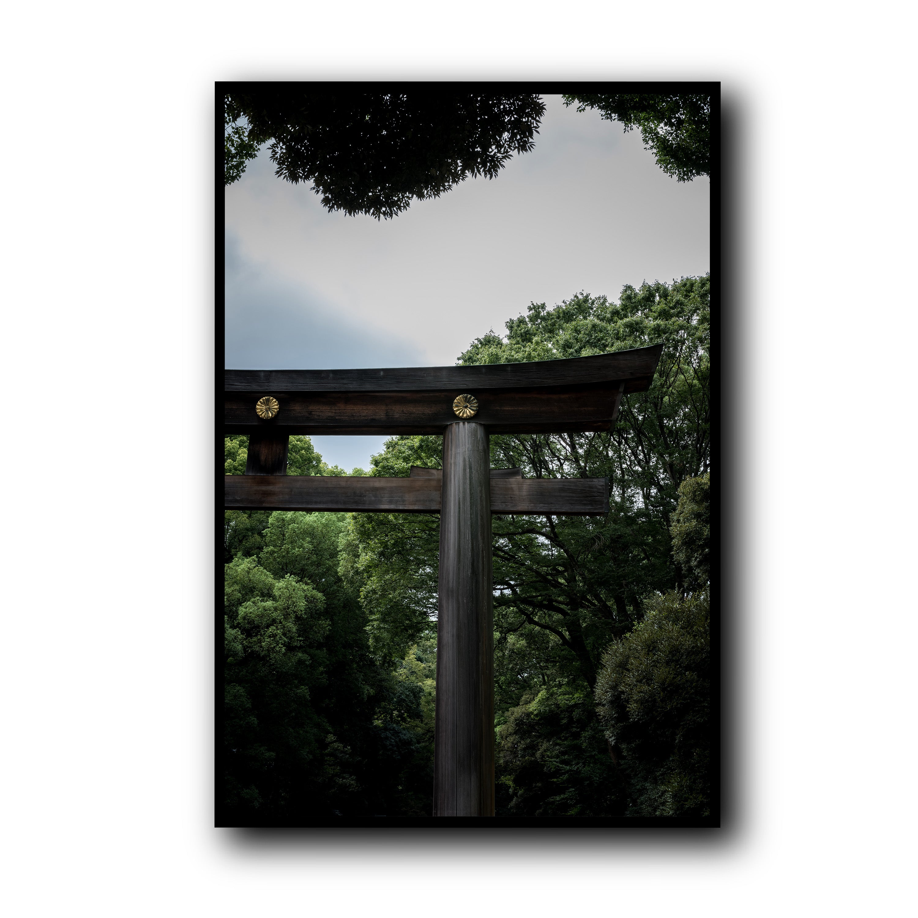 The Door, Tokyo