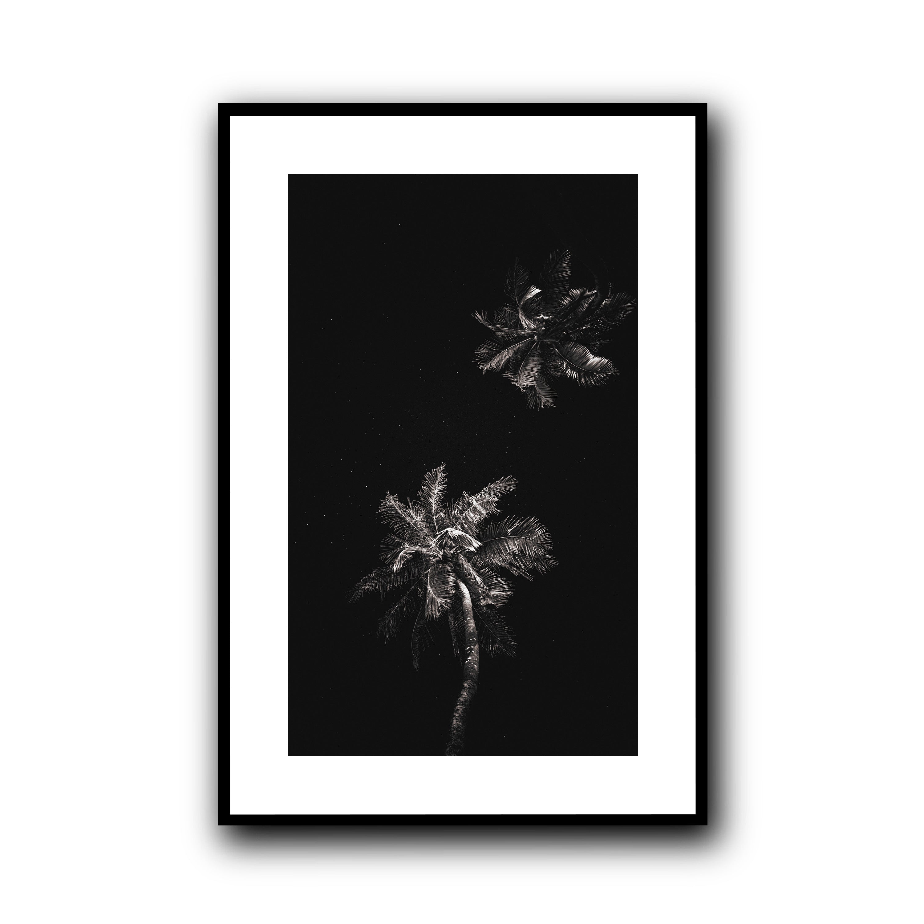 Dark Coco, Tahiti