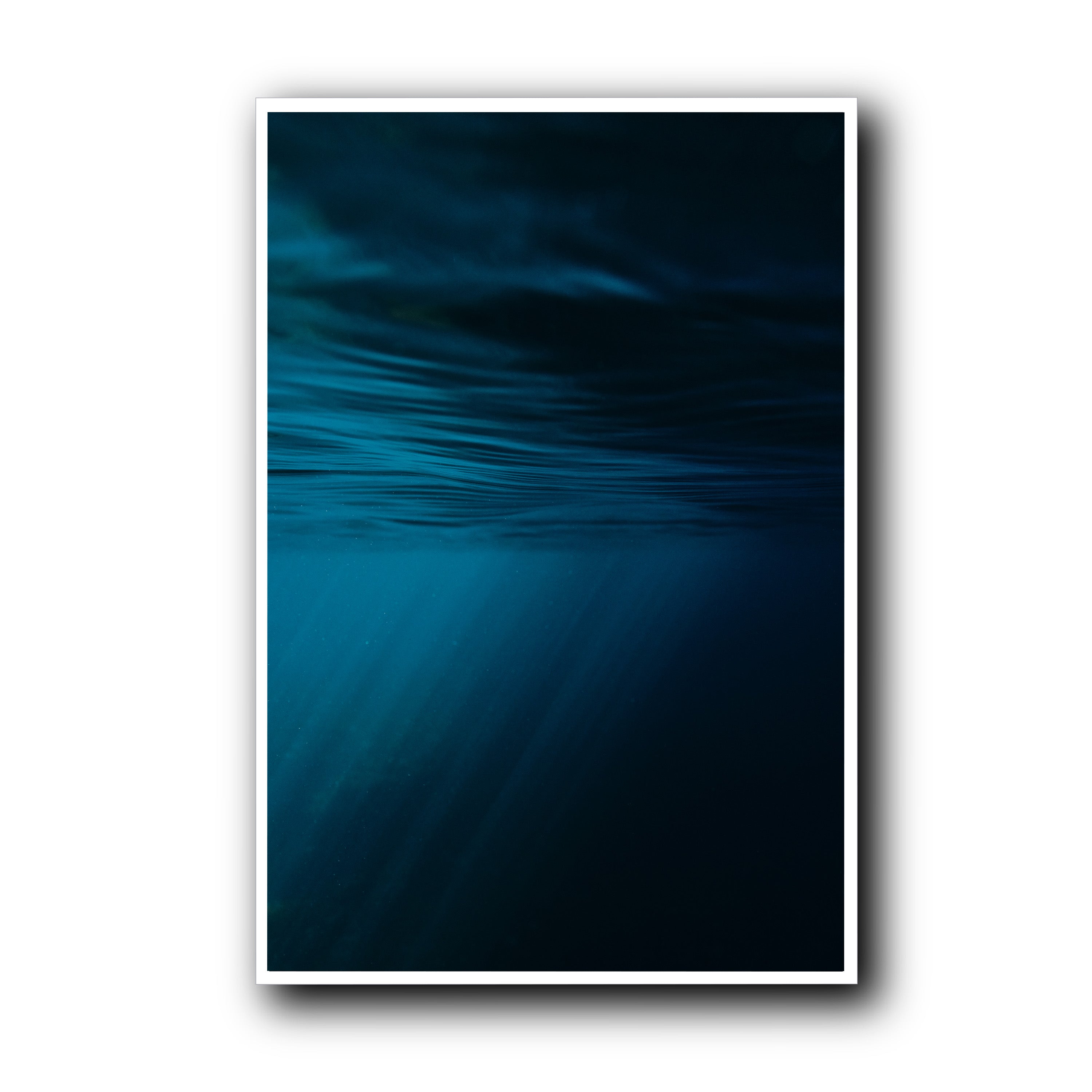 Blue Silence, Tarifa