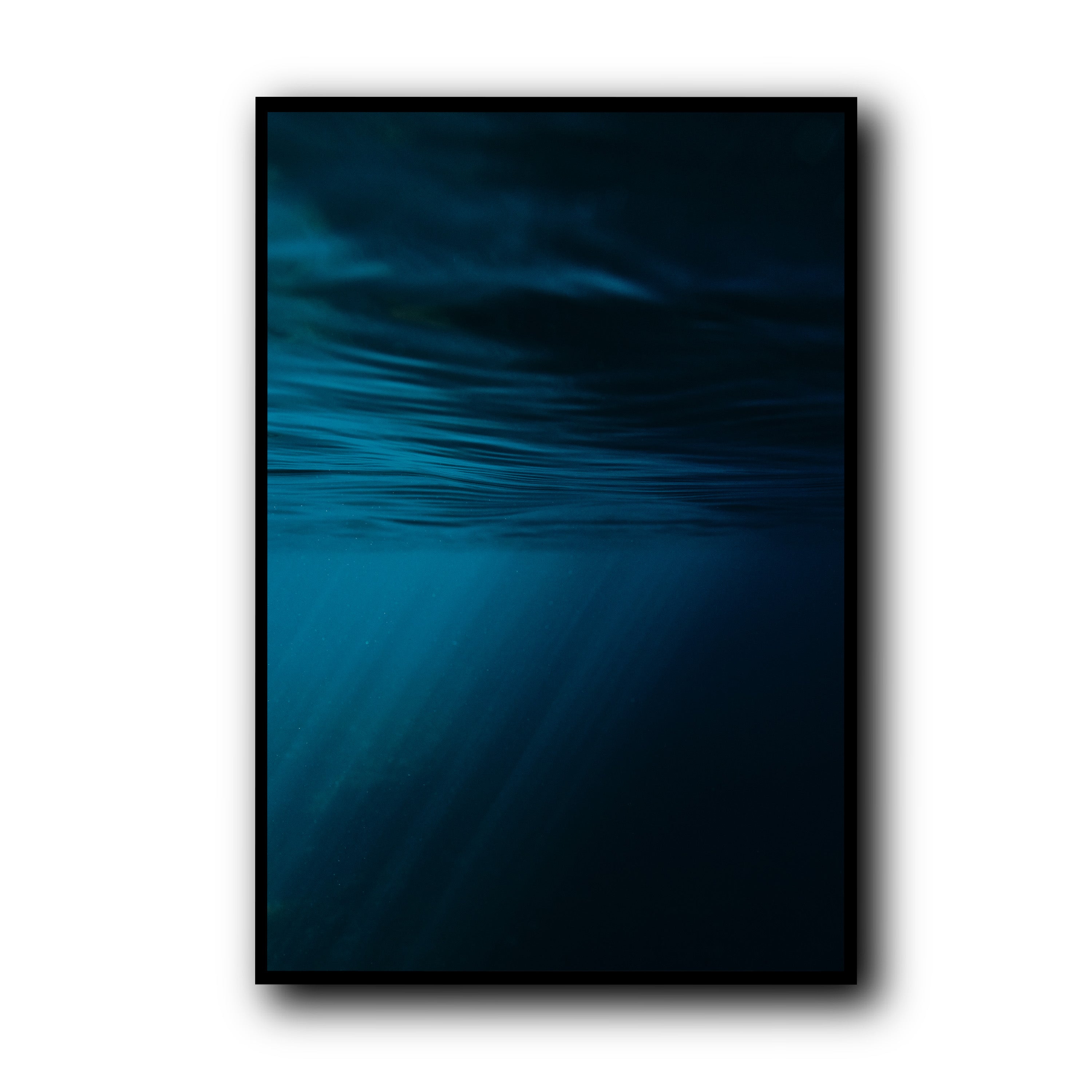 Blue Silence, Tarifa