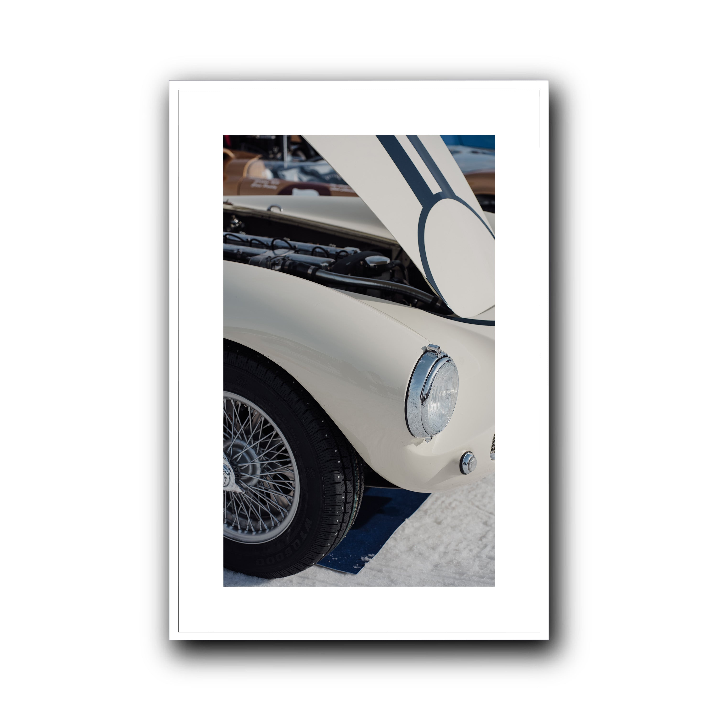 Ivory Lines on Ice, St Moritz
