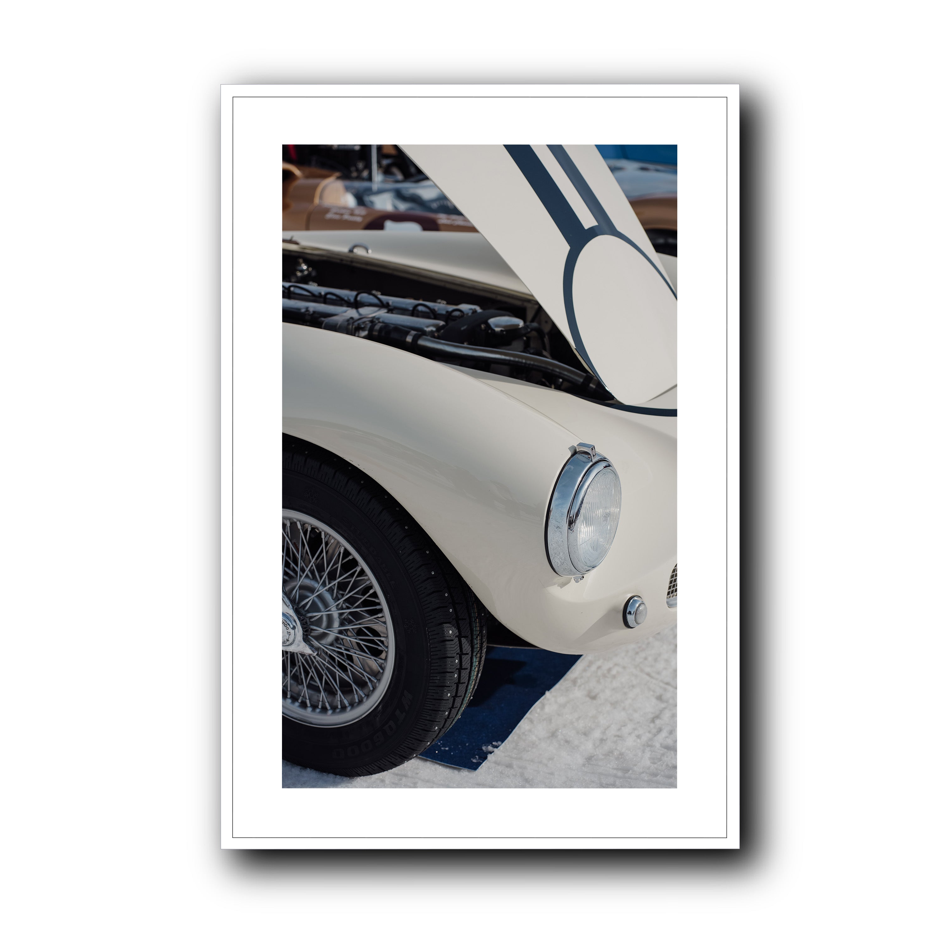 Ivory Lines on Ice, St Moritz