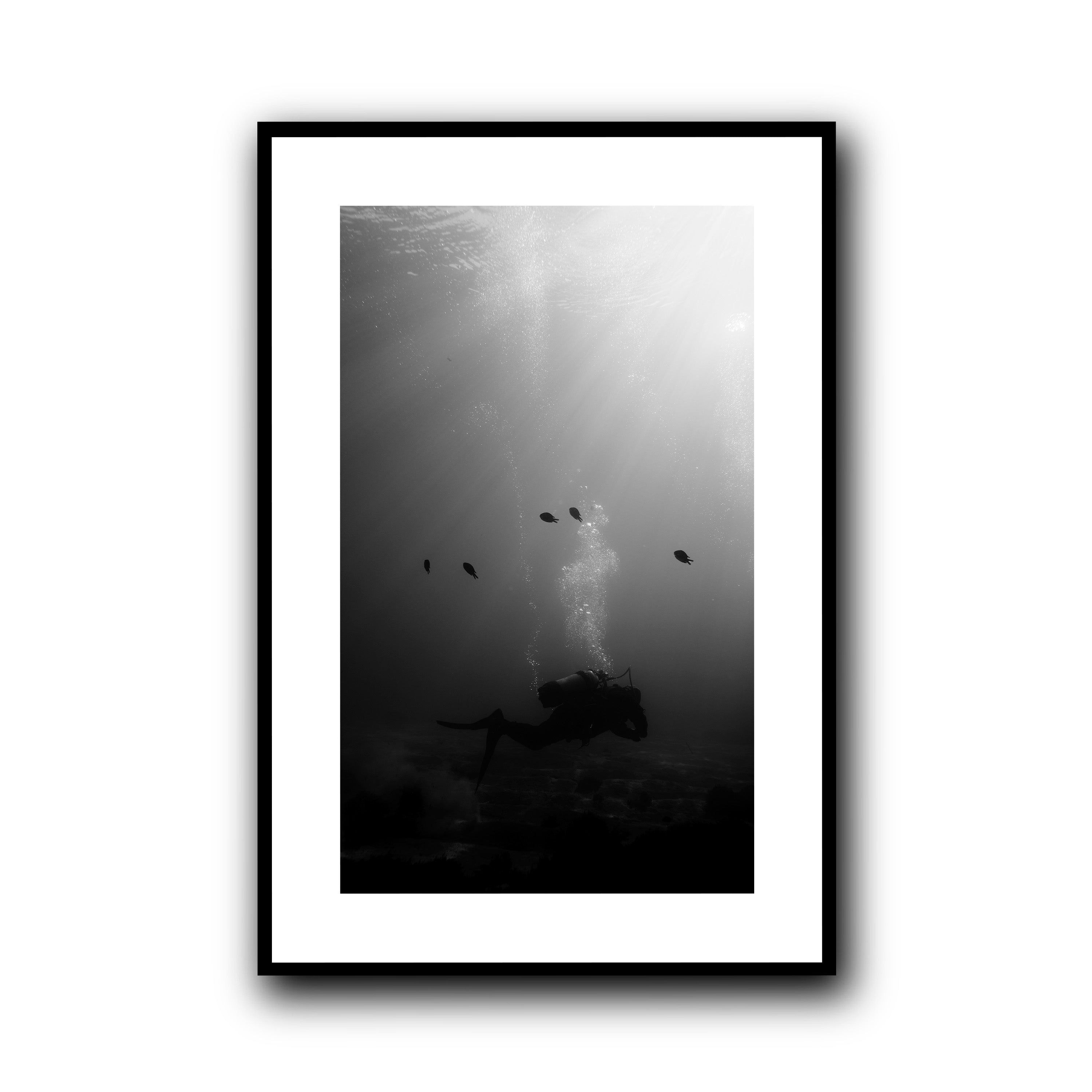 The Descent, Madeira