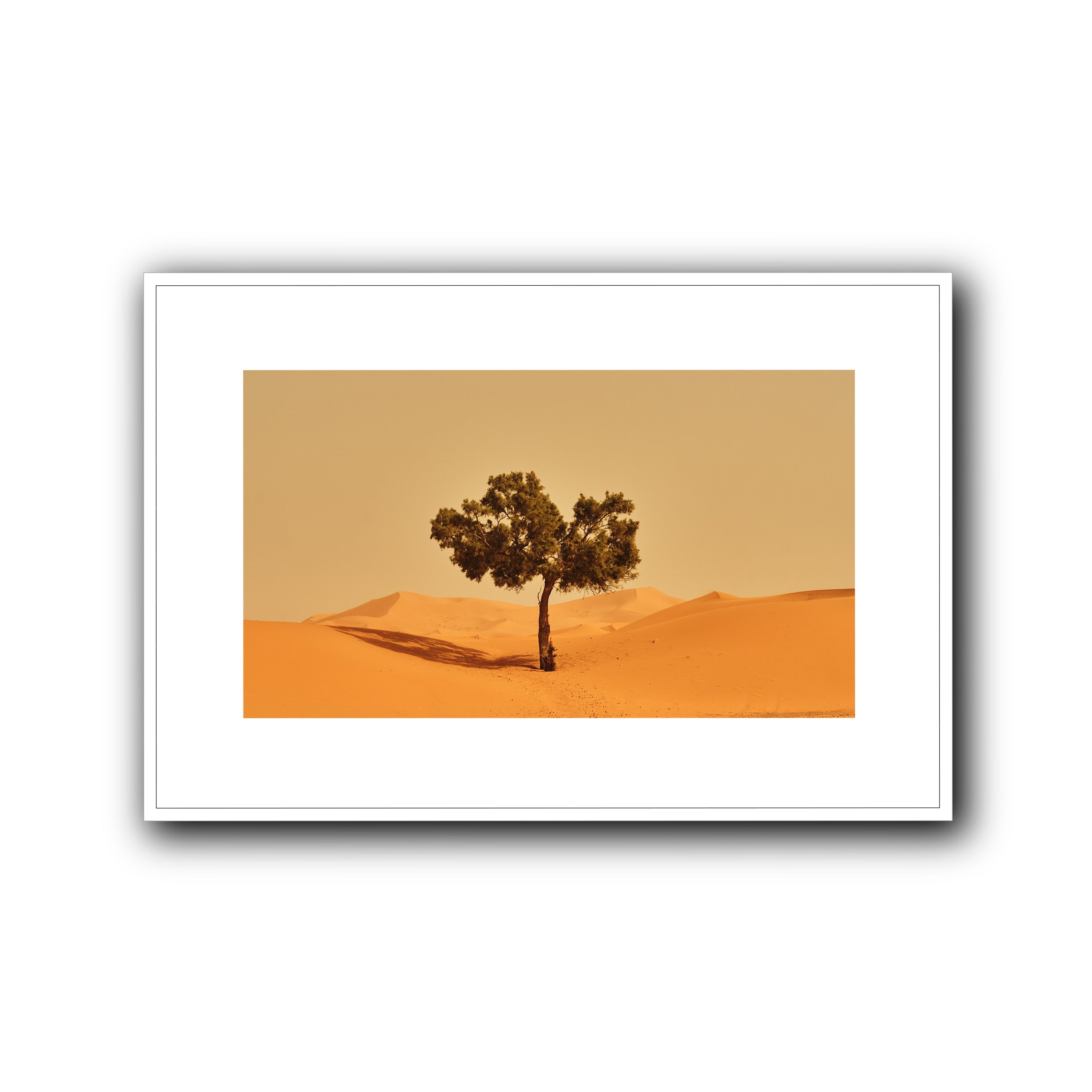 Solitude, Merzouga