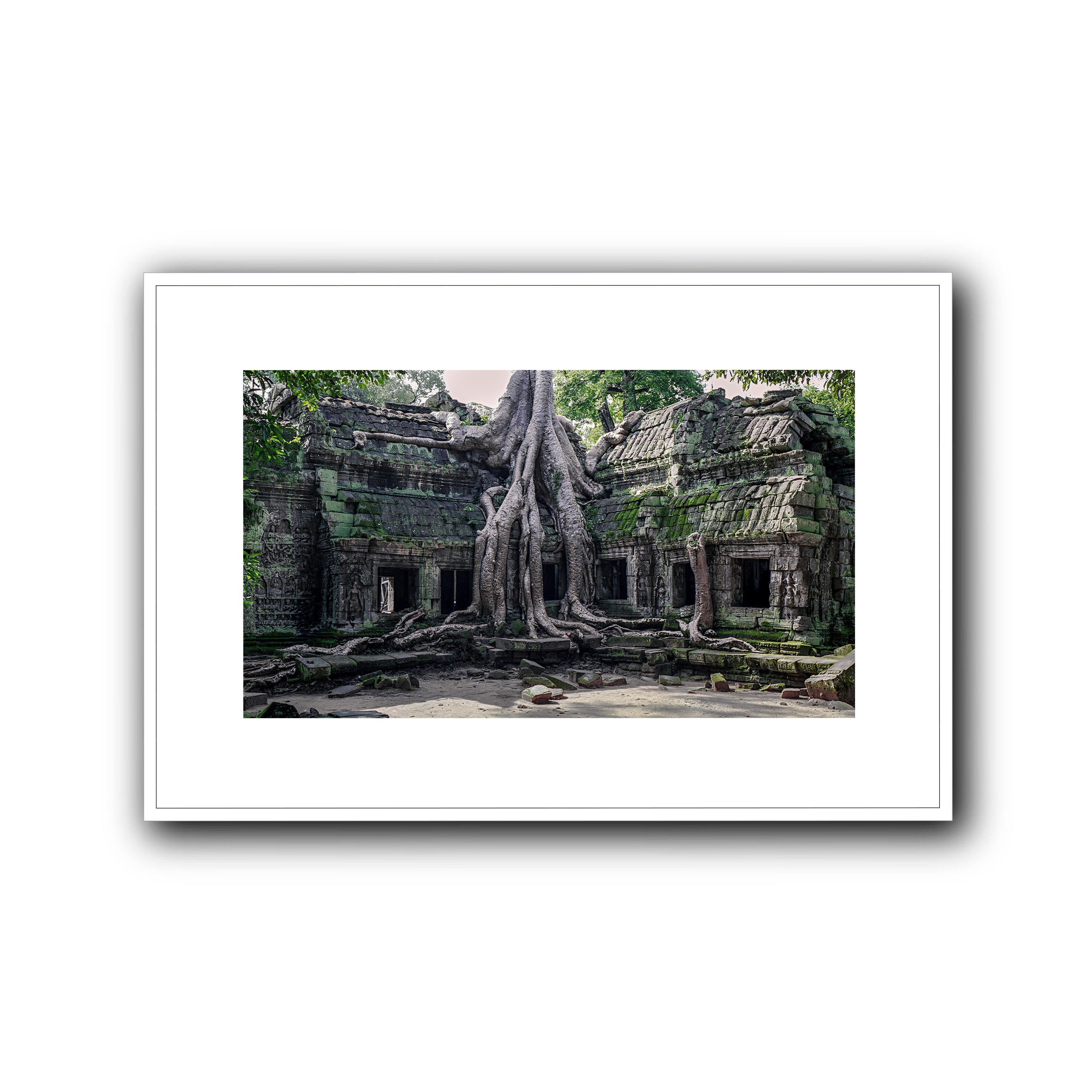 Ta Prohm, Siam Reap
