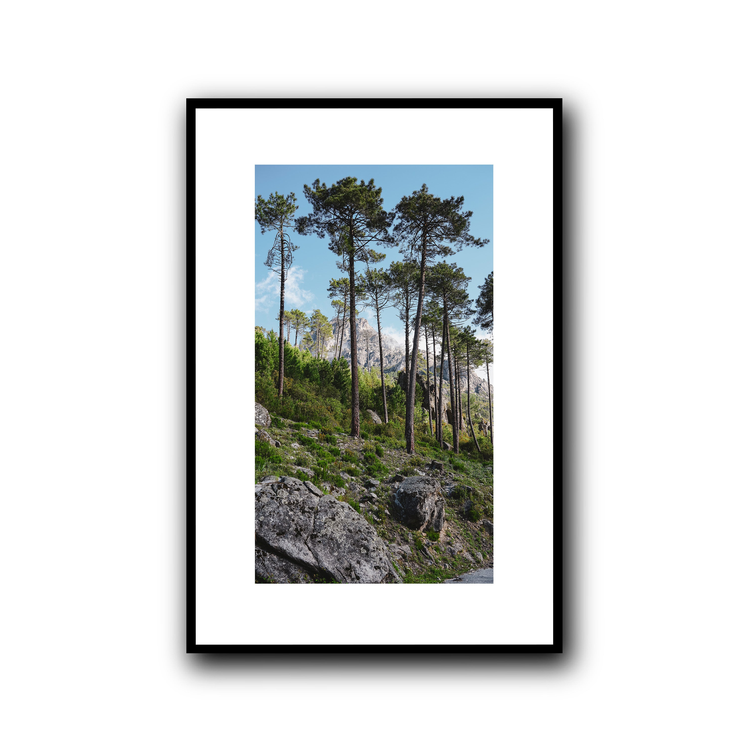 Toward the Sky, Corsica