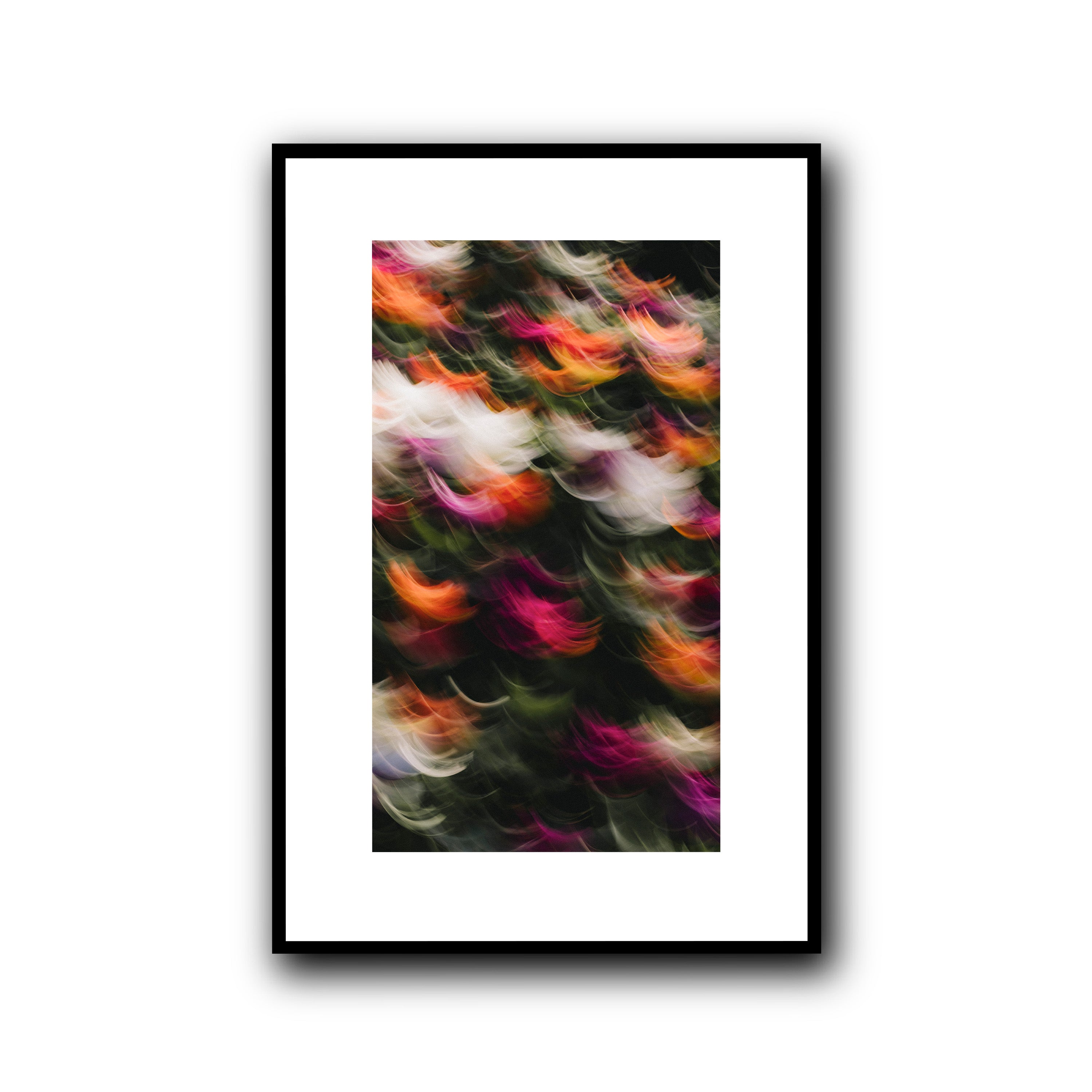 Flowers in Motion 2, Barcelona