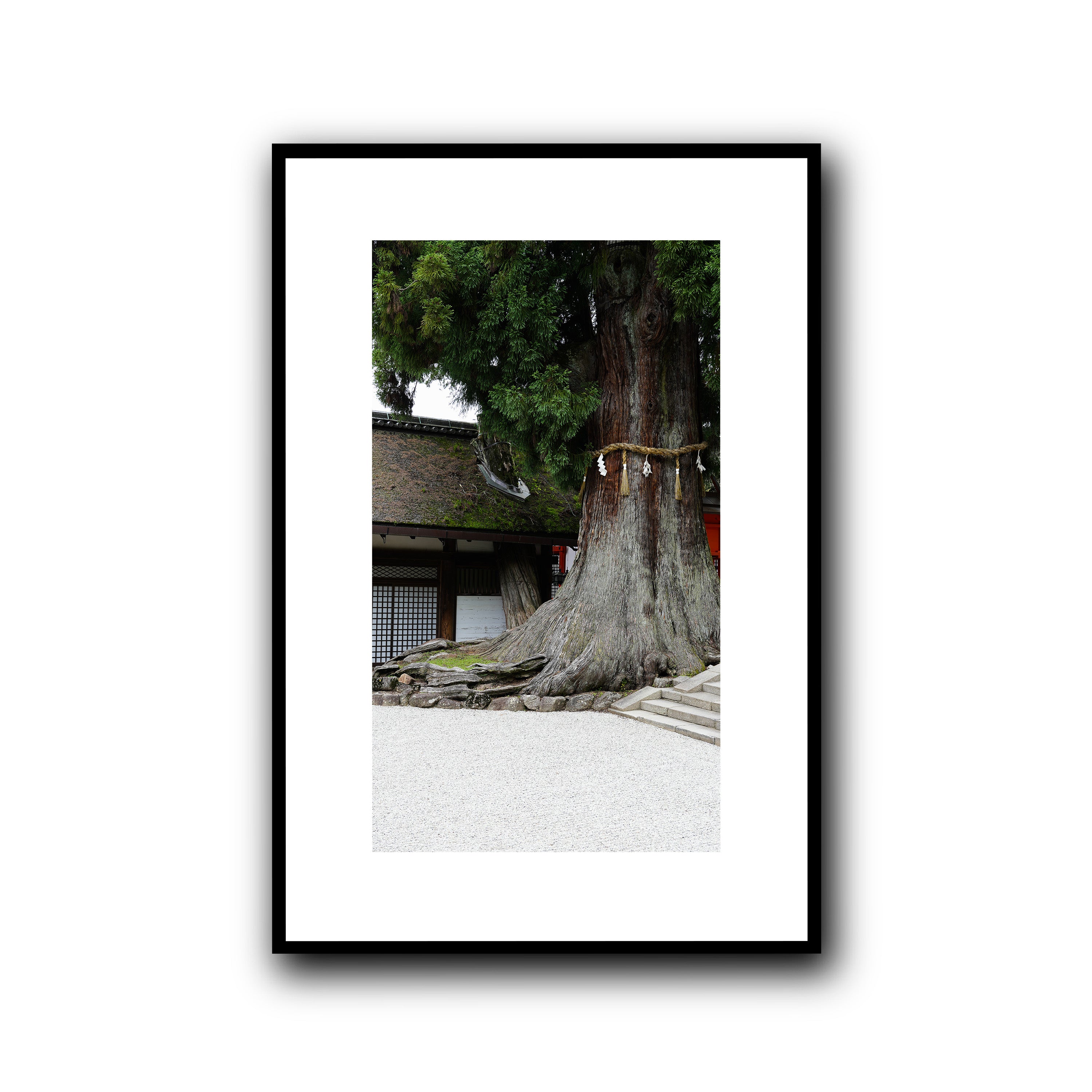 The Tree, Nara