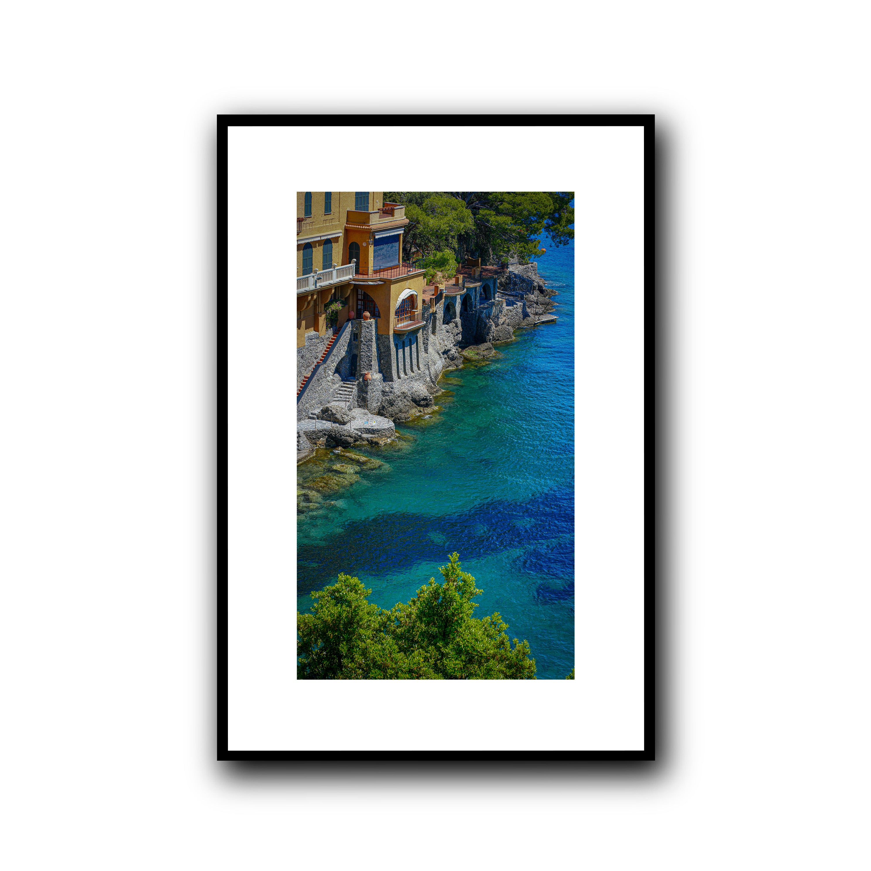 Morning Dive, Portofino