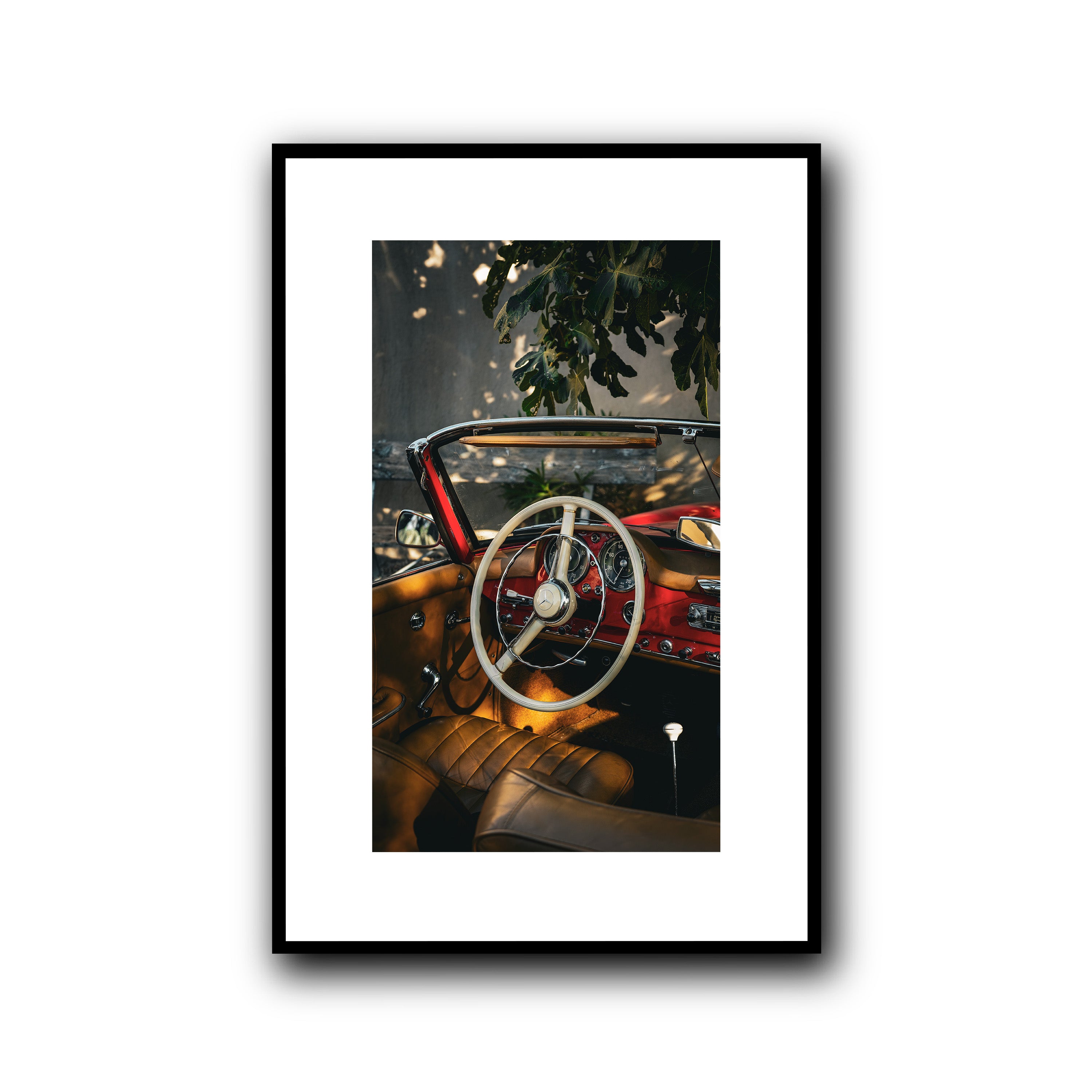 Nap Under the Fig Tree, Provence