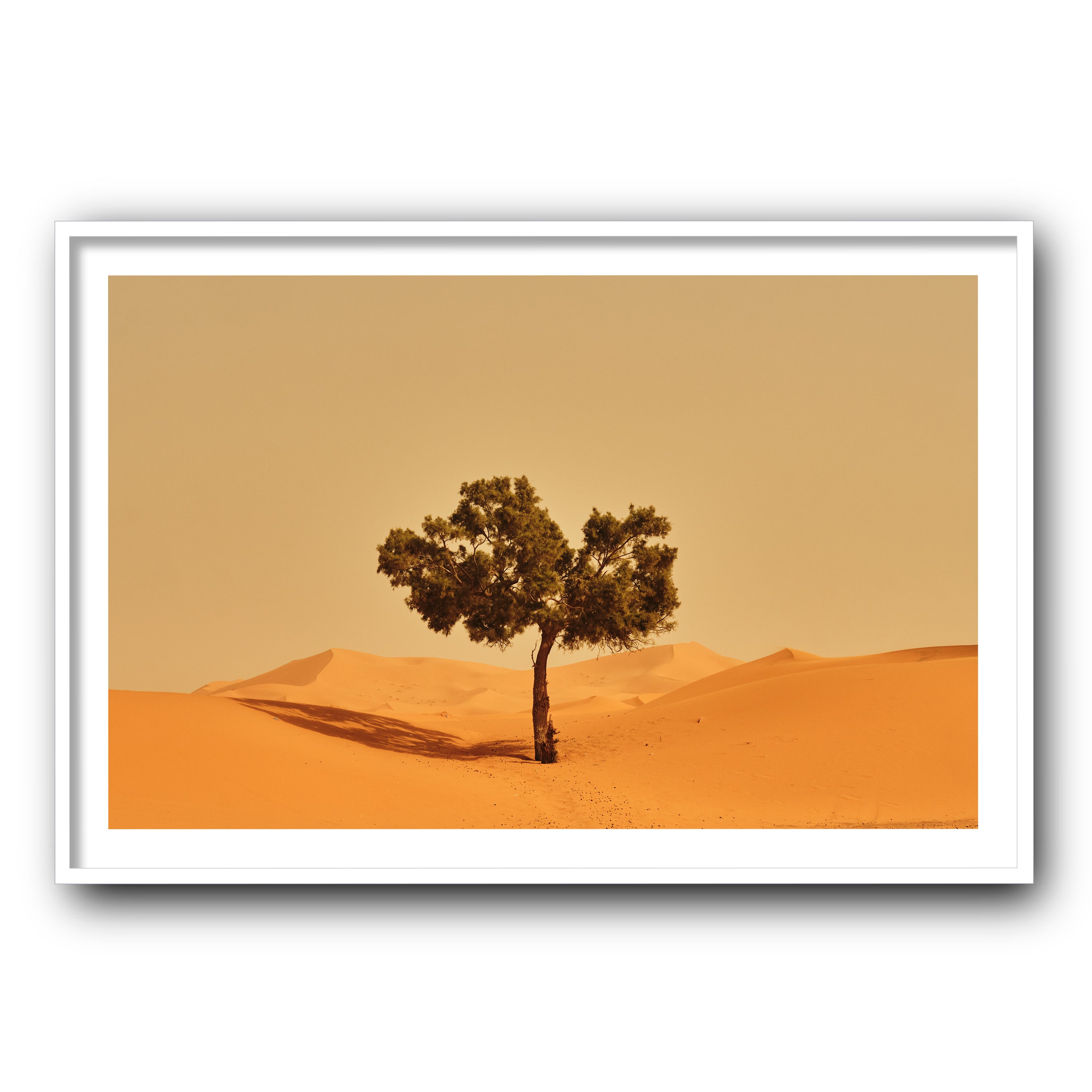 Solitude, Merzouga