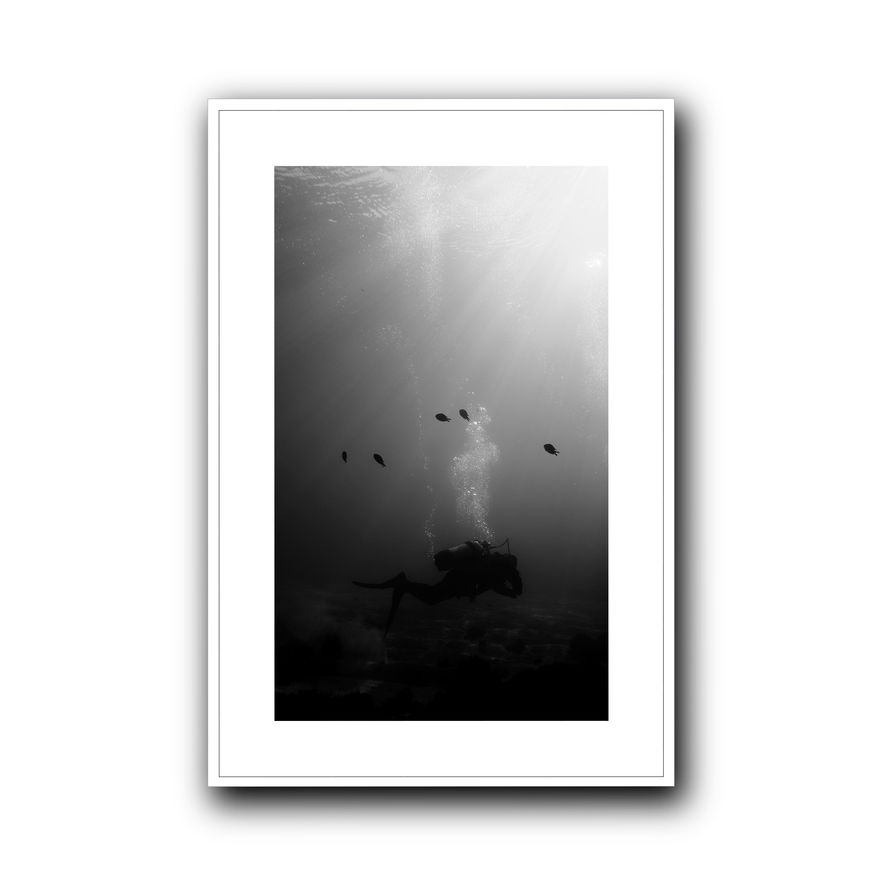 The Descent, Madeira