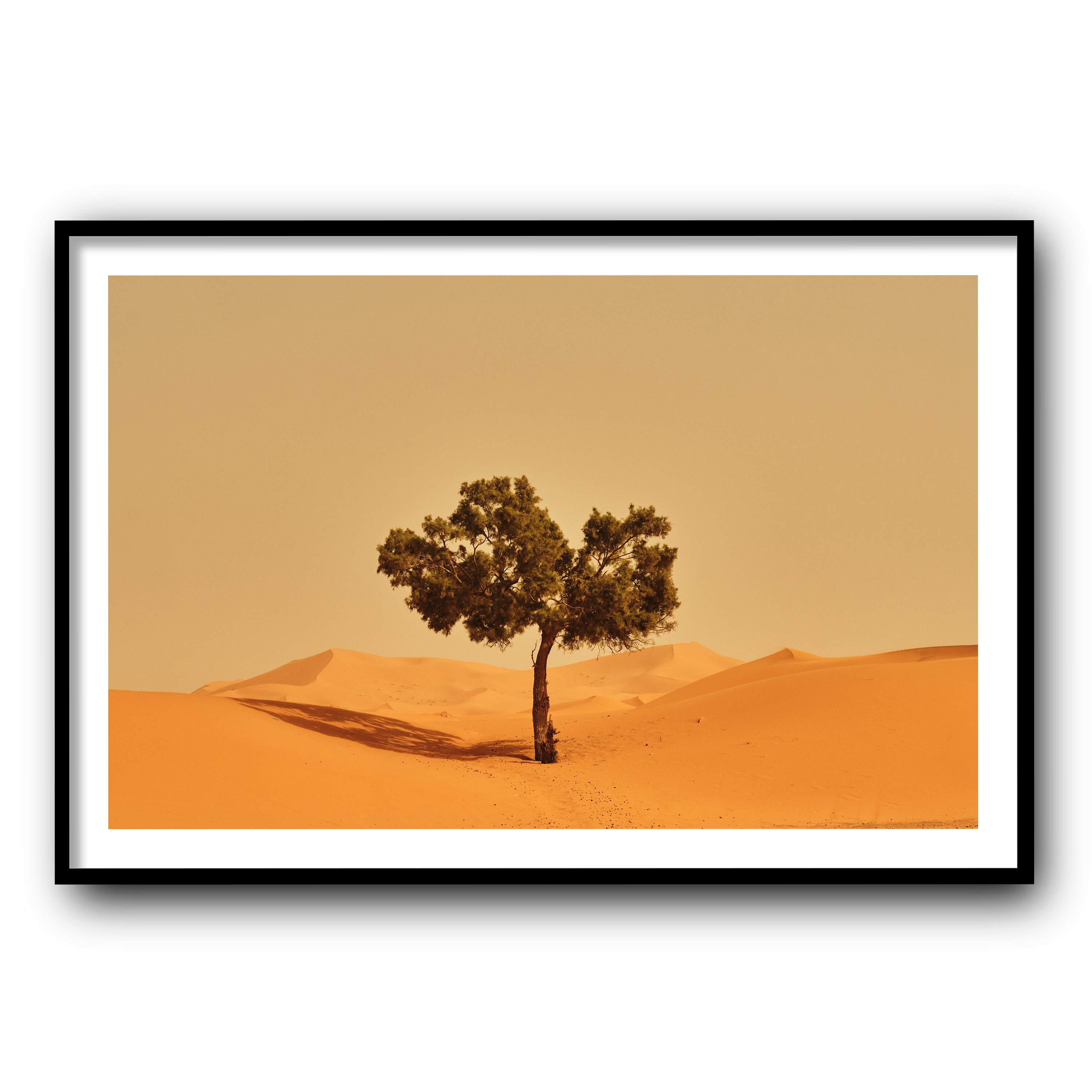 Solitude, Merzouga