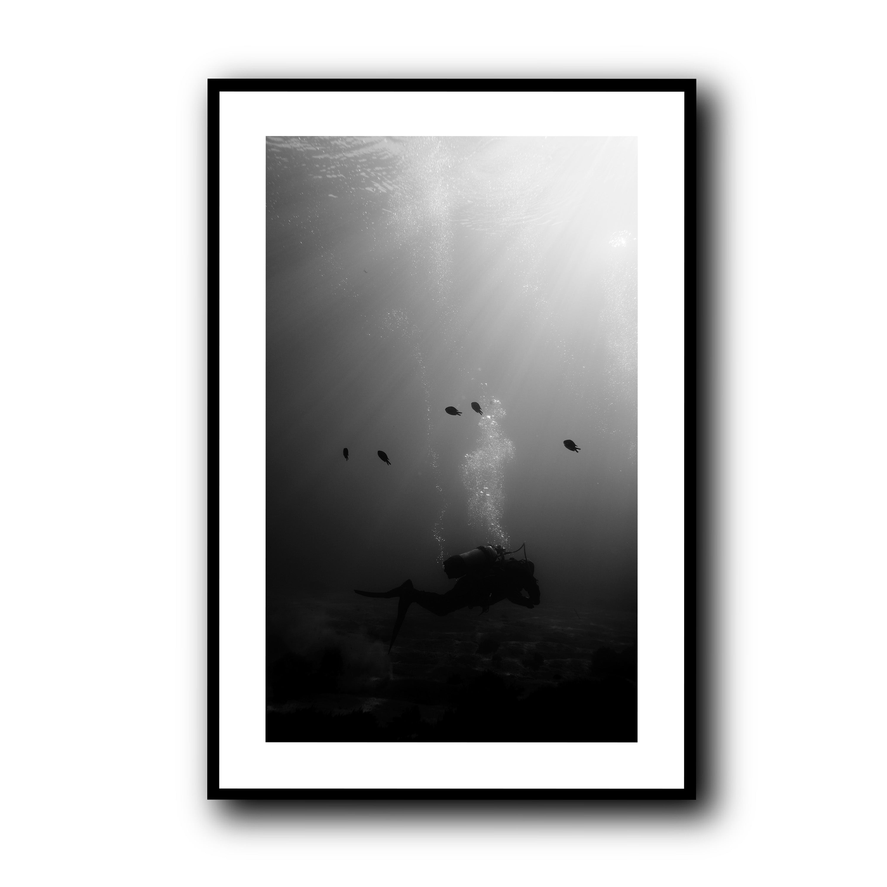 The Descent, Madeira