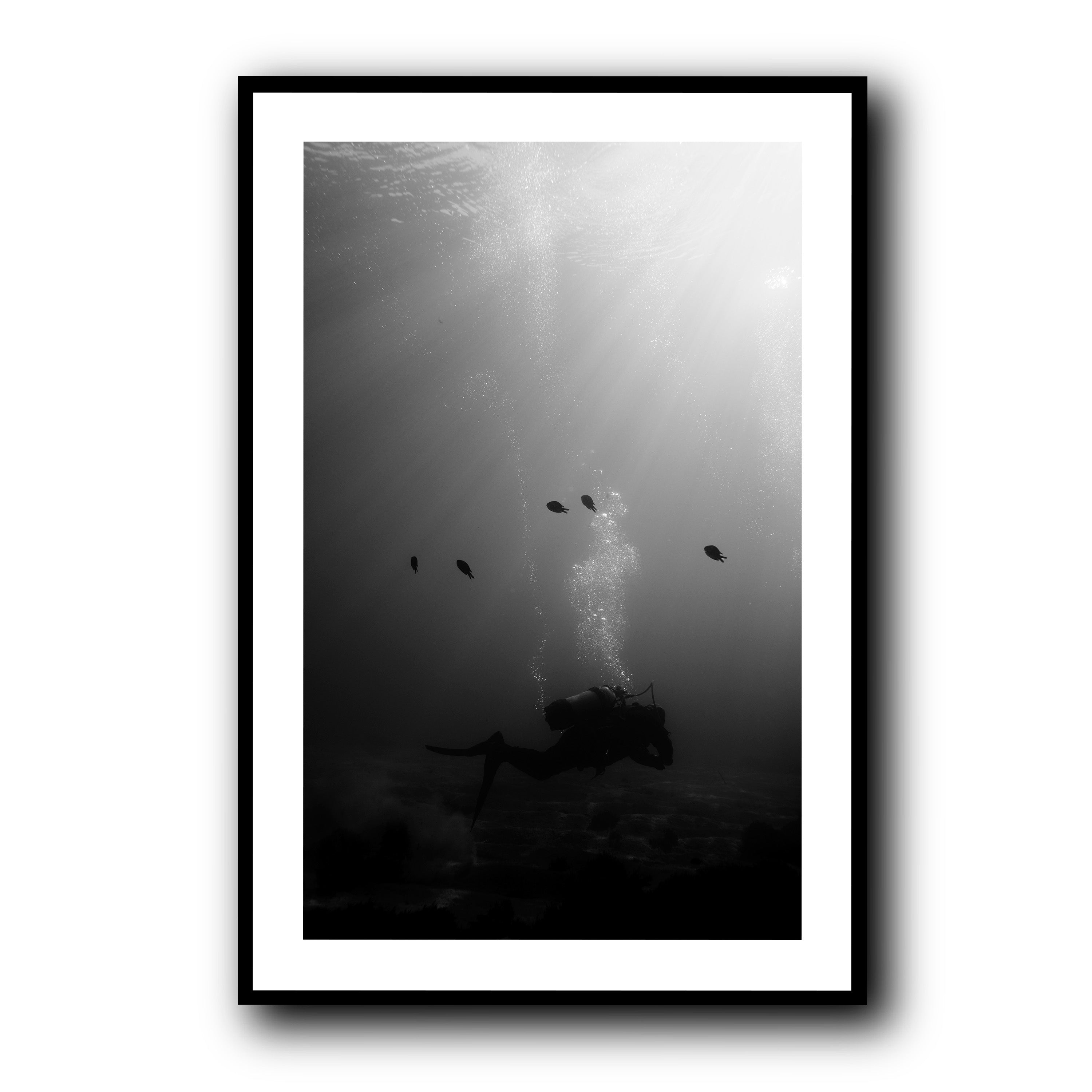 The Descent, Madeira