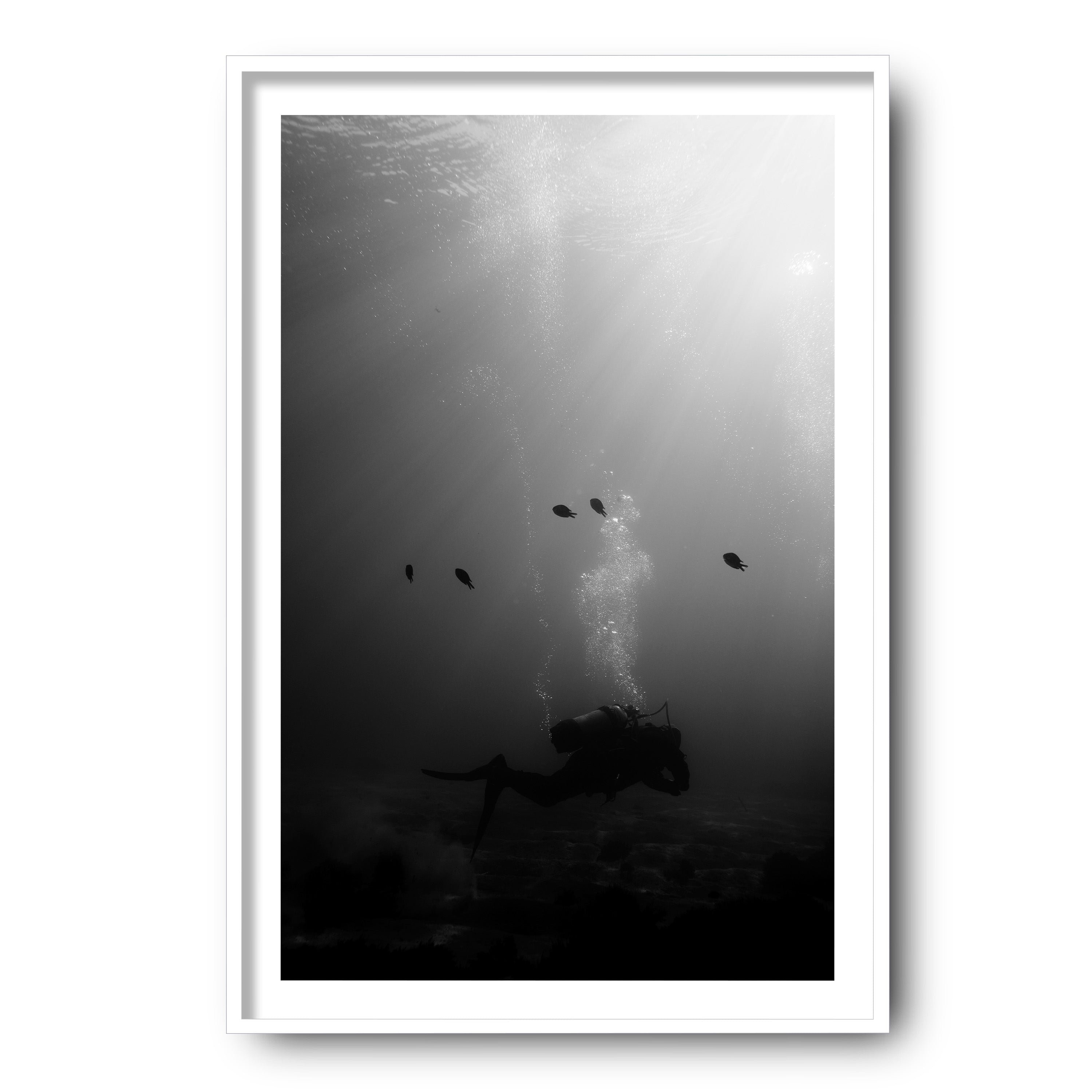 The Descent, Madeira