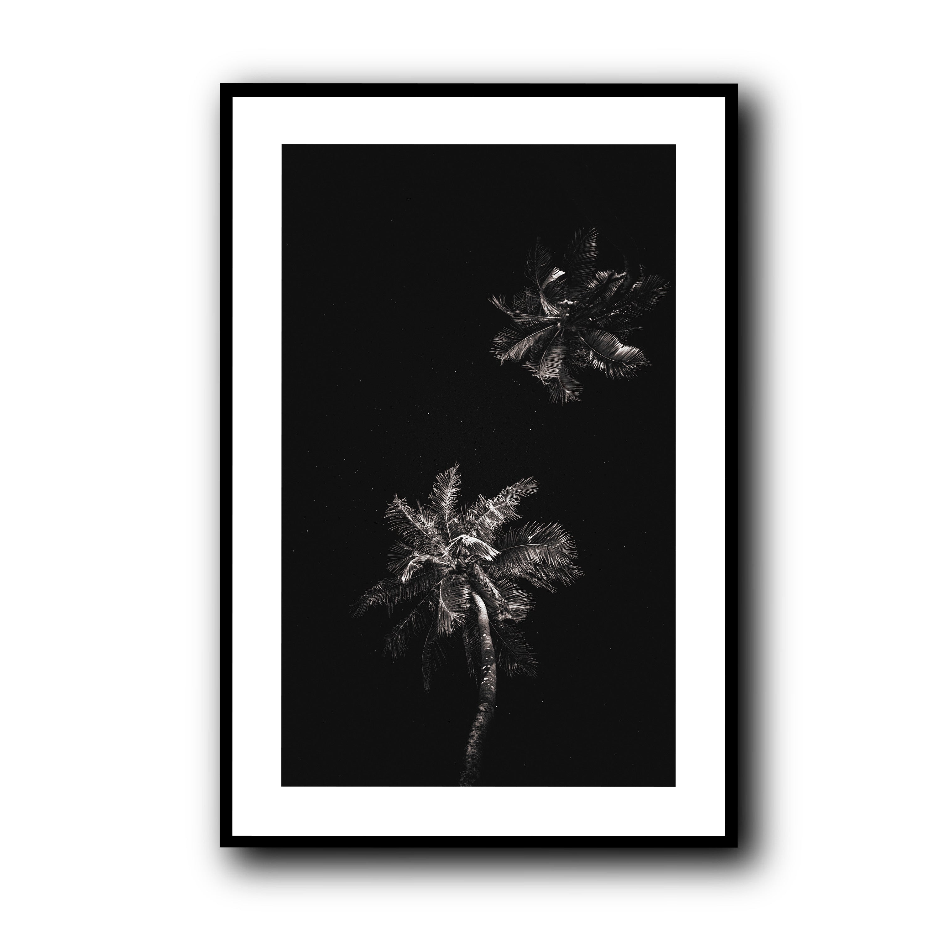 Dark Coco, Tahiti