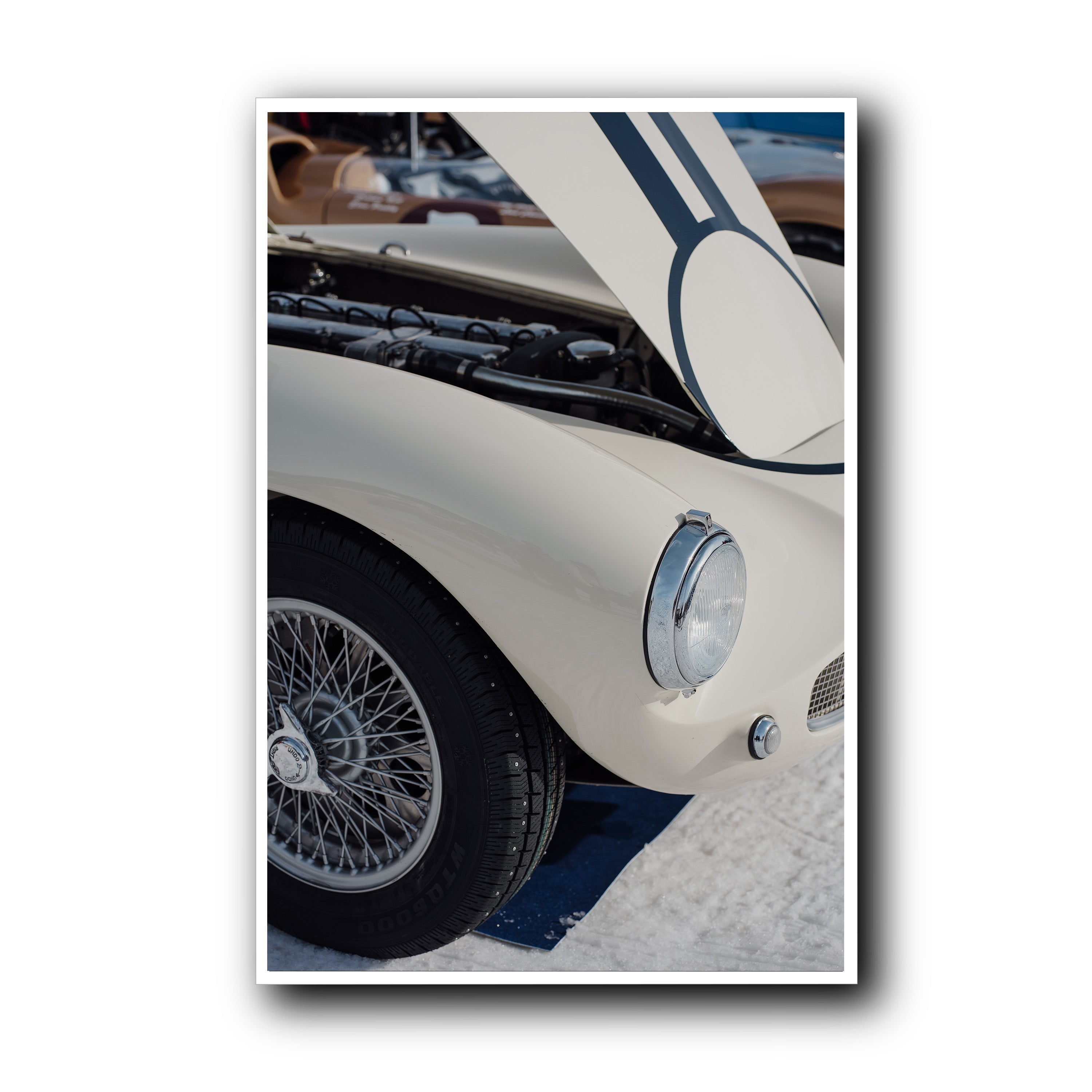 Ivory Lines on Ice, St Moritz