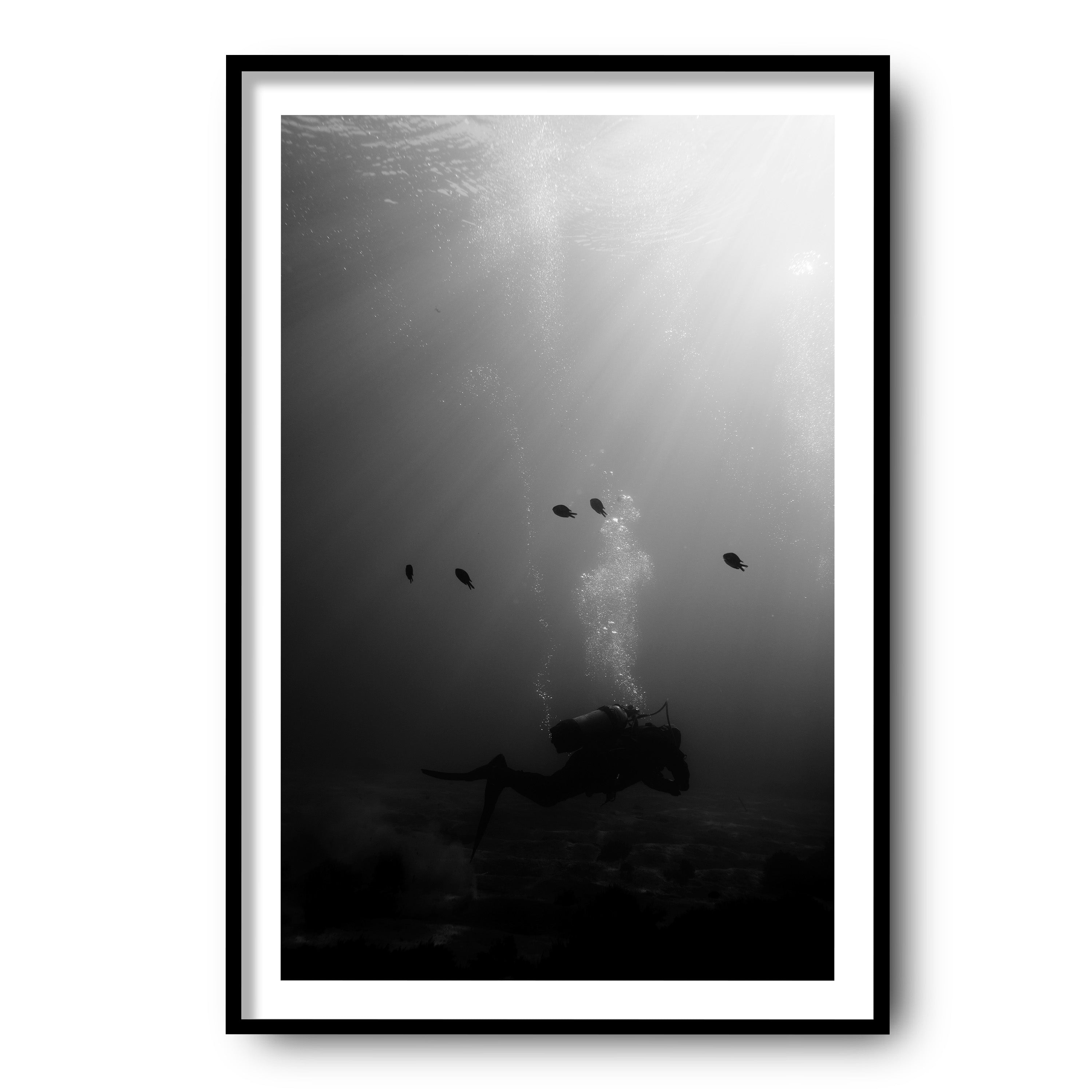 The Descent, Madeira