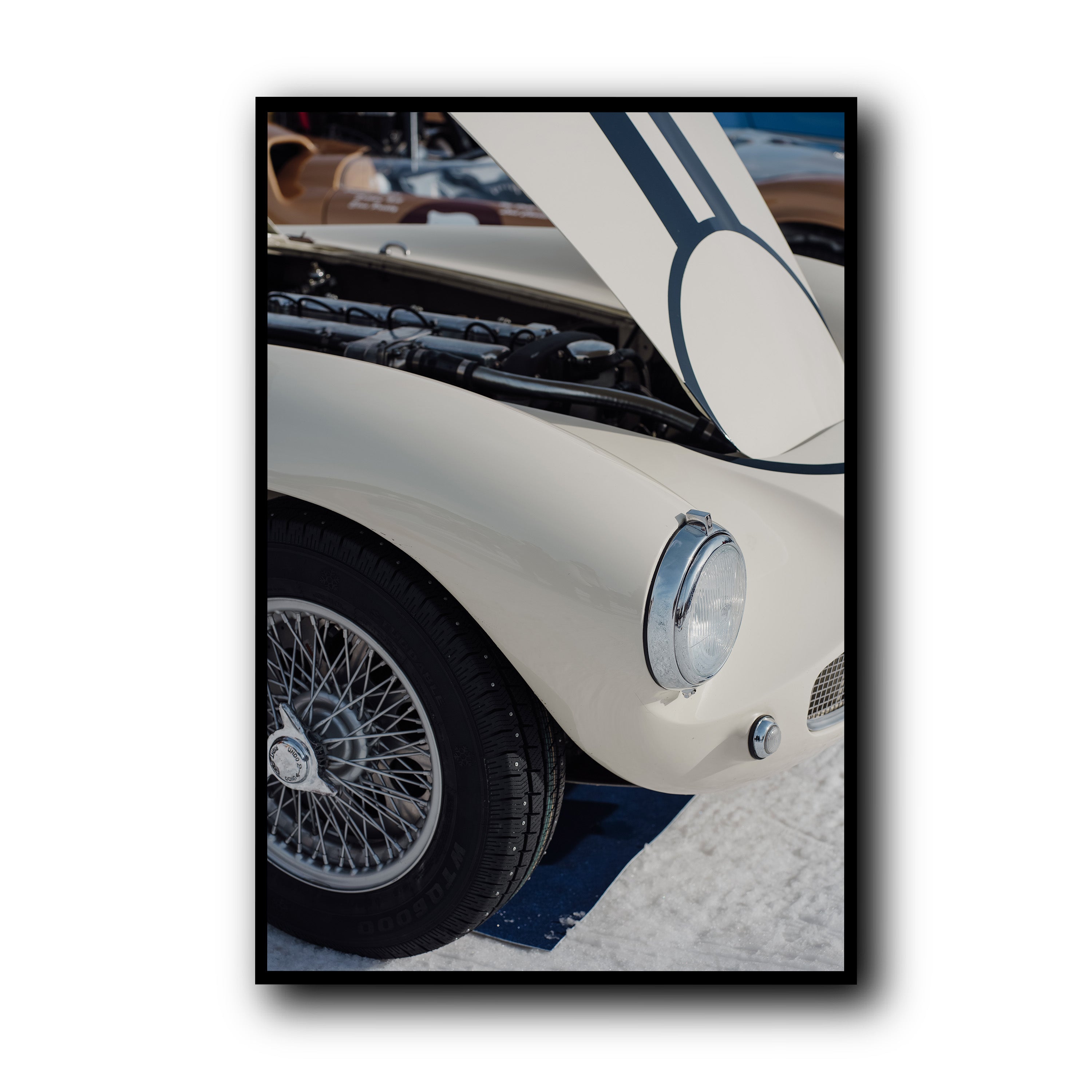 Ivory Lines on Ice, St Moritz