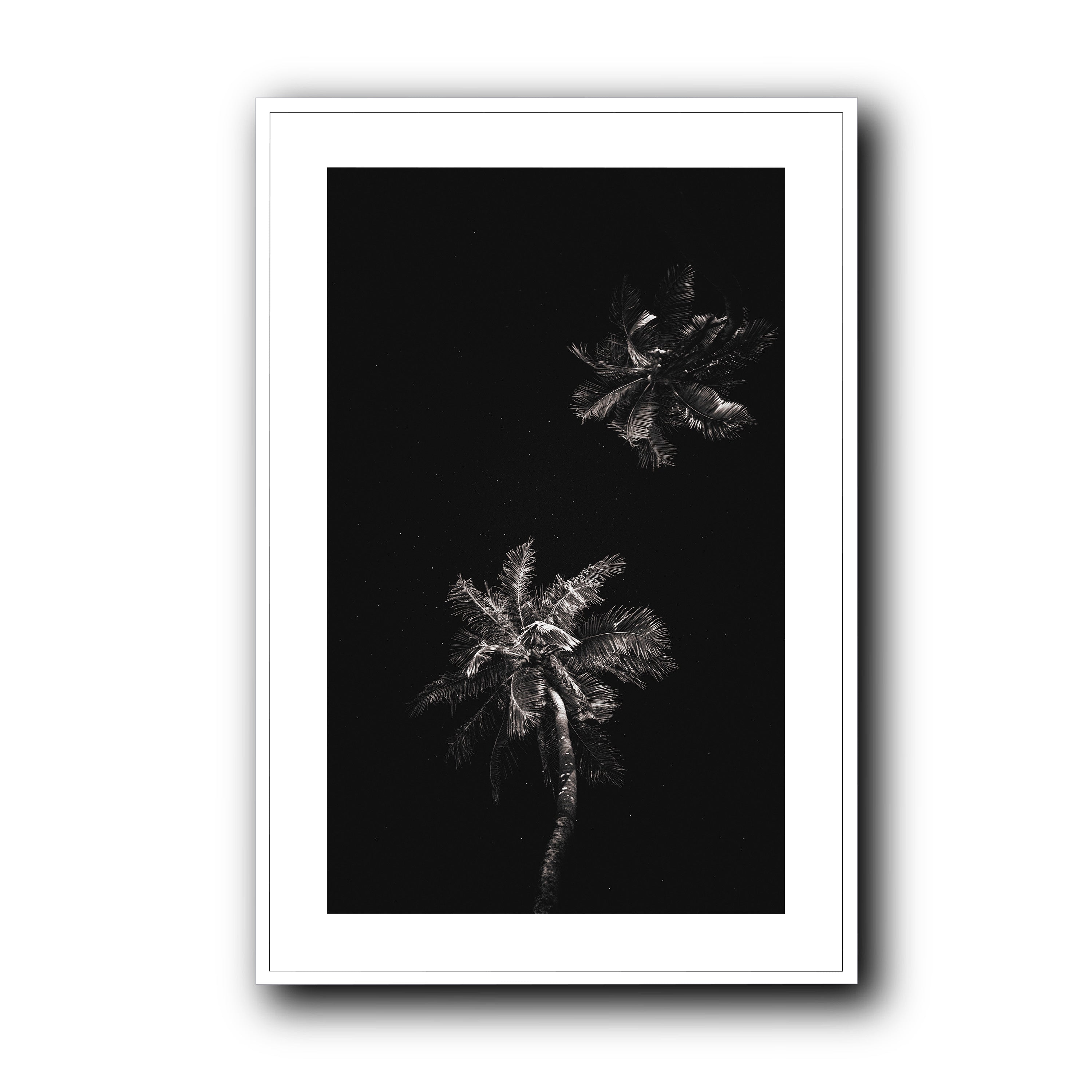 Dark Coco, Tahiti