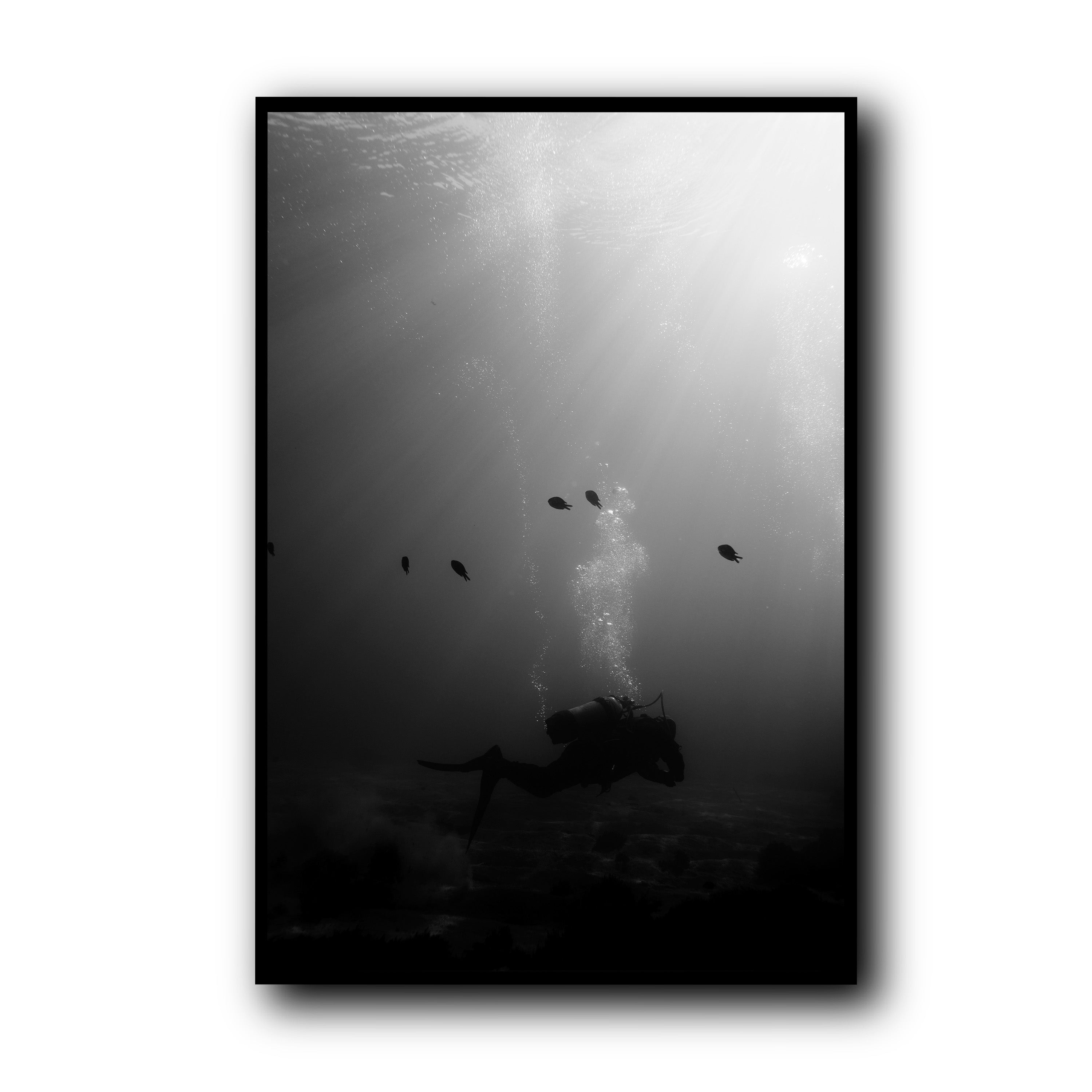 The Descent, Madeira