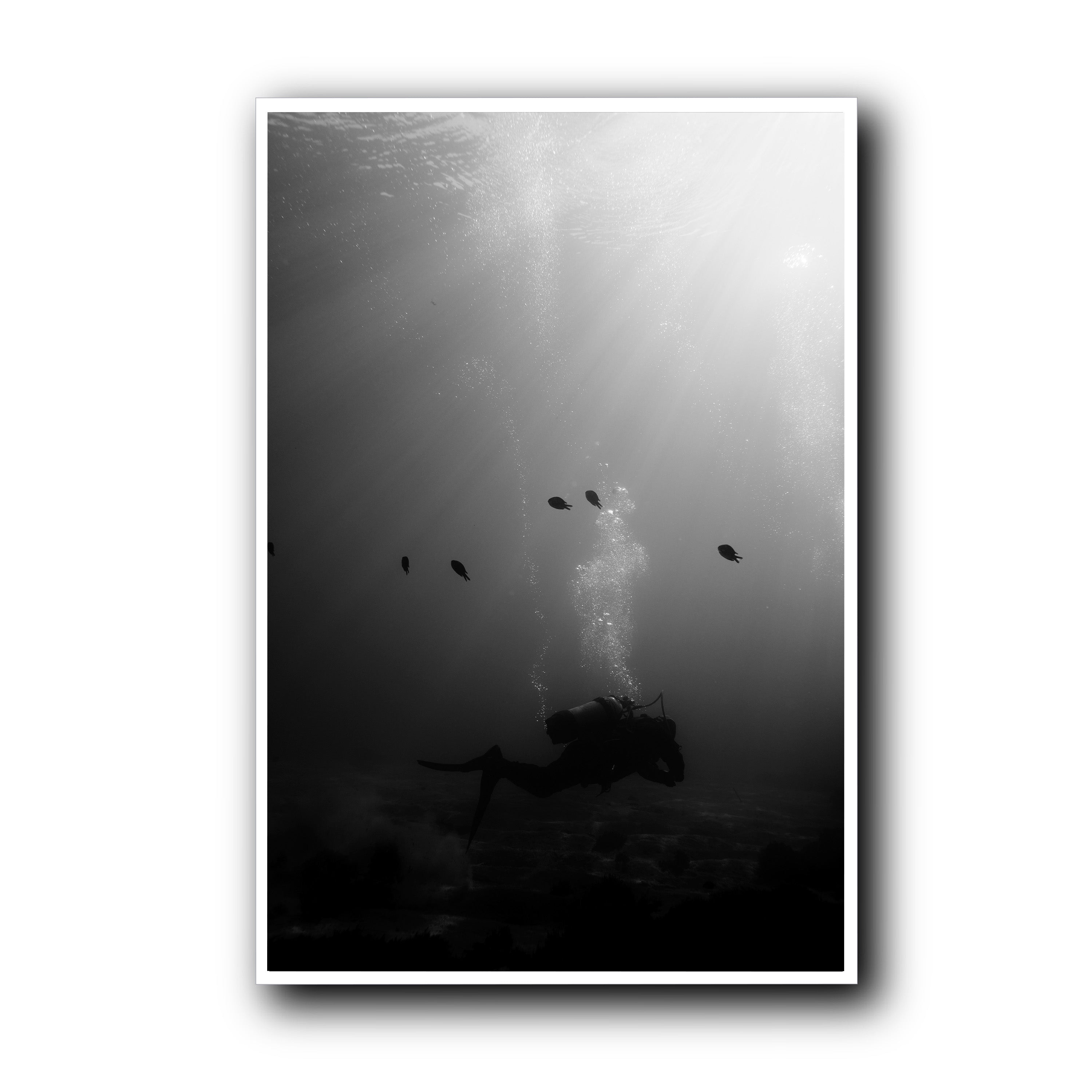 The Descent, Madeira