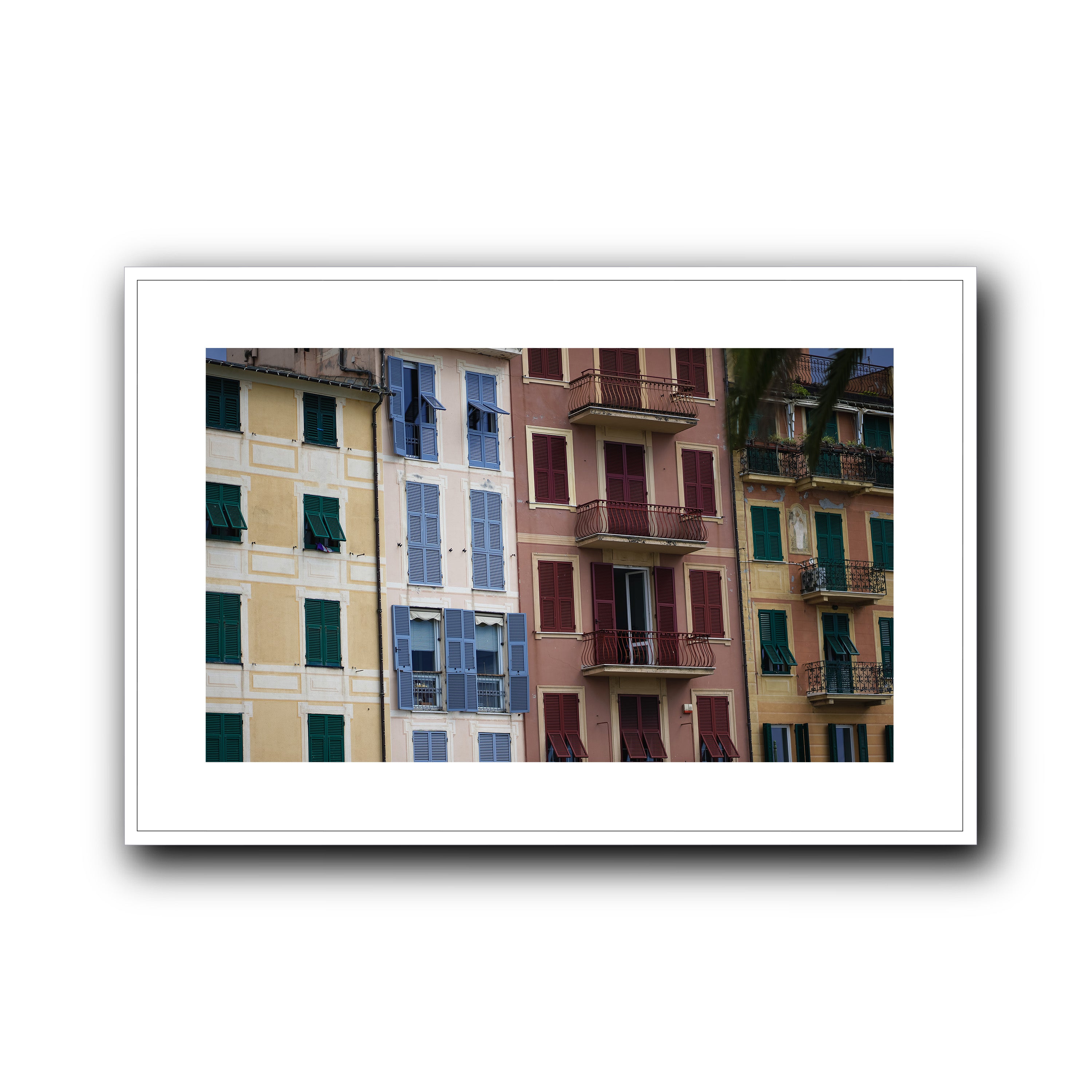 Dolce Vita Colors, Santa Margherita