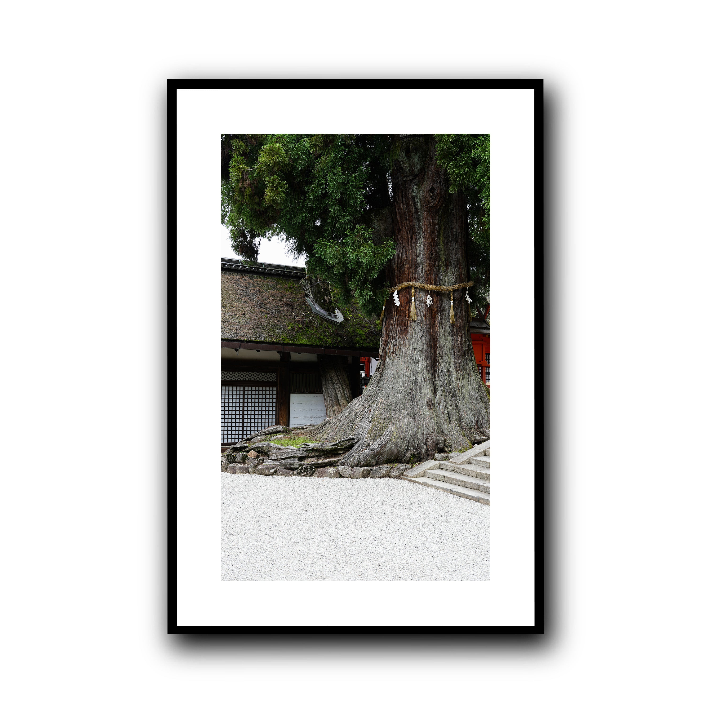 The Tree, Nara
