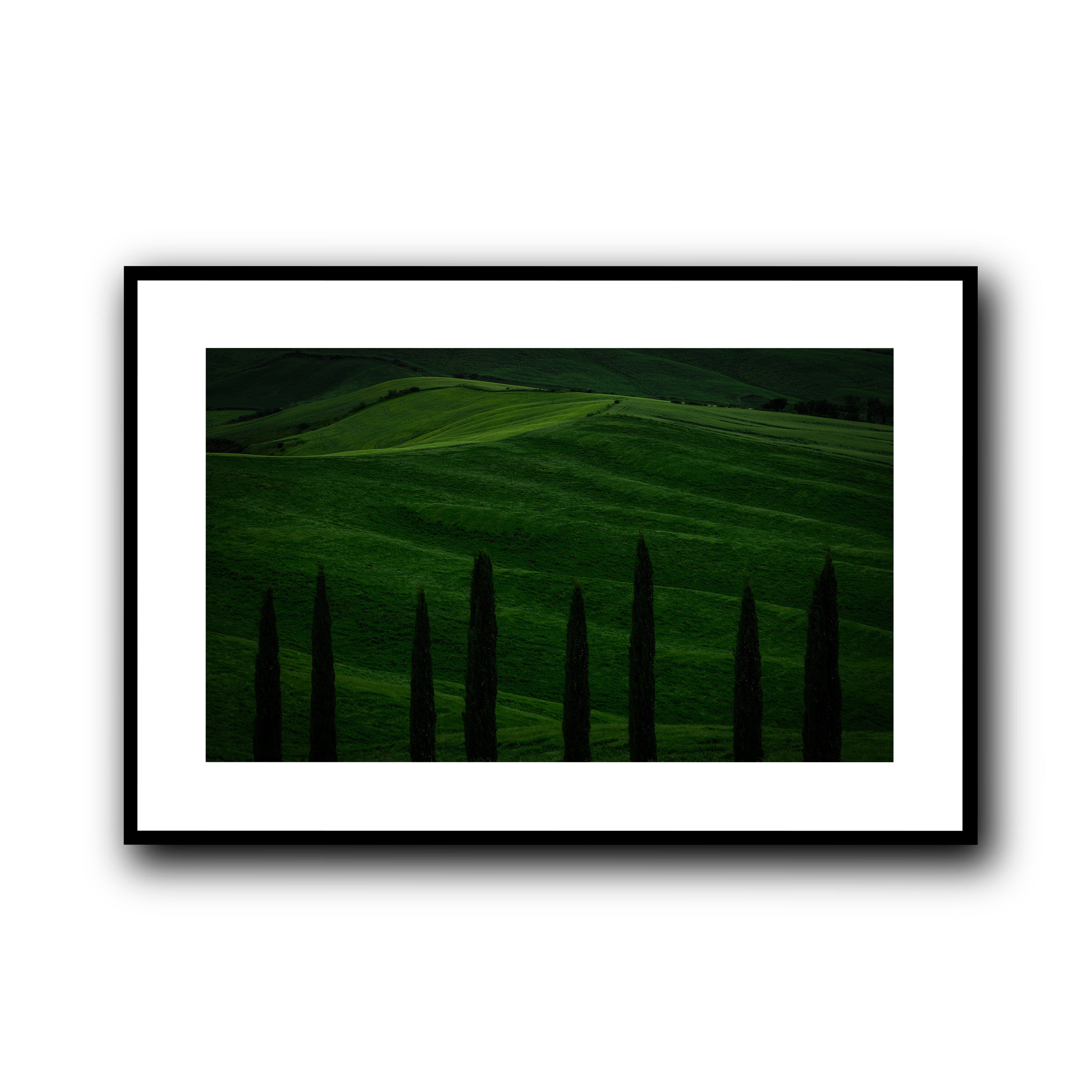 Green Fields, Tuscany