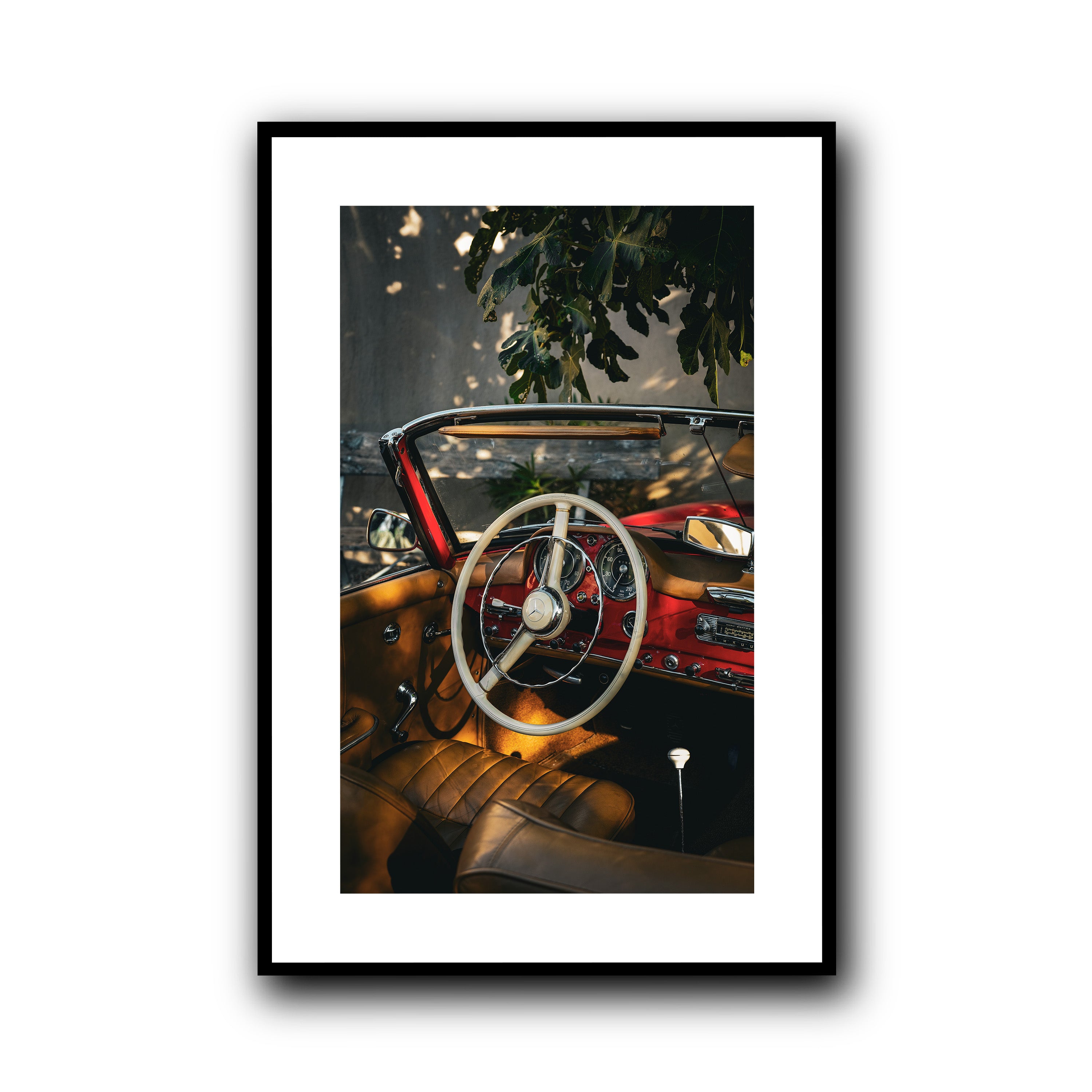 Nap Under the Fig Tree, Provence