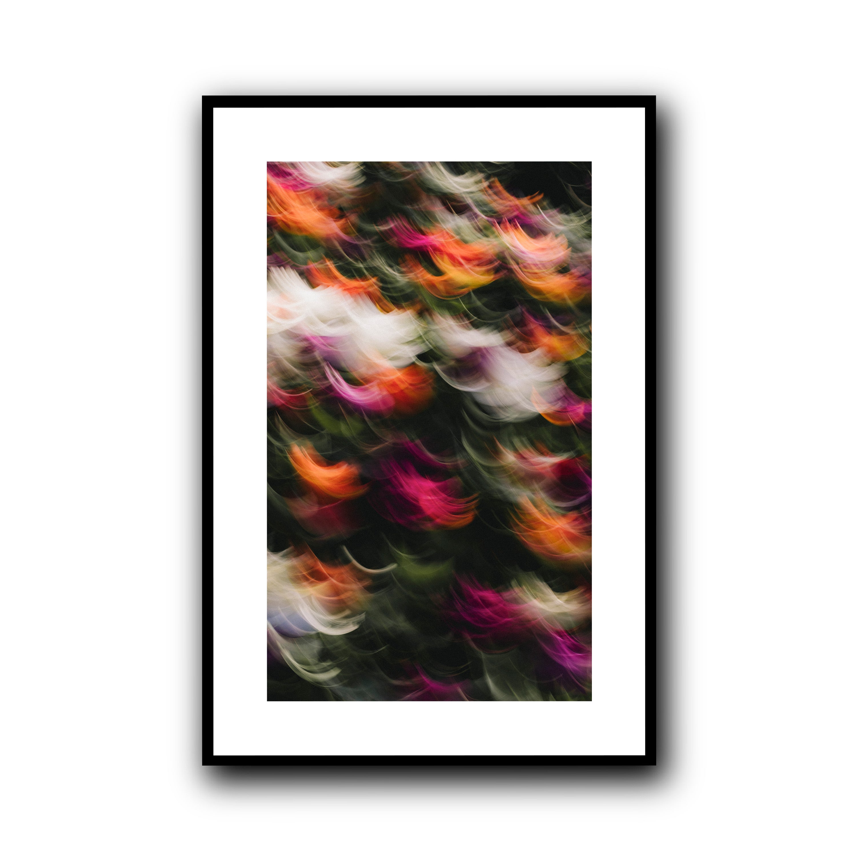 Flowers in Motion 2, Barcelona