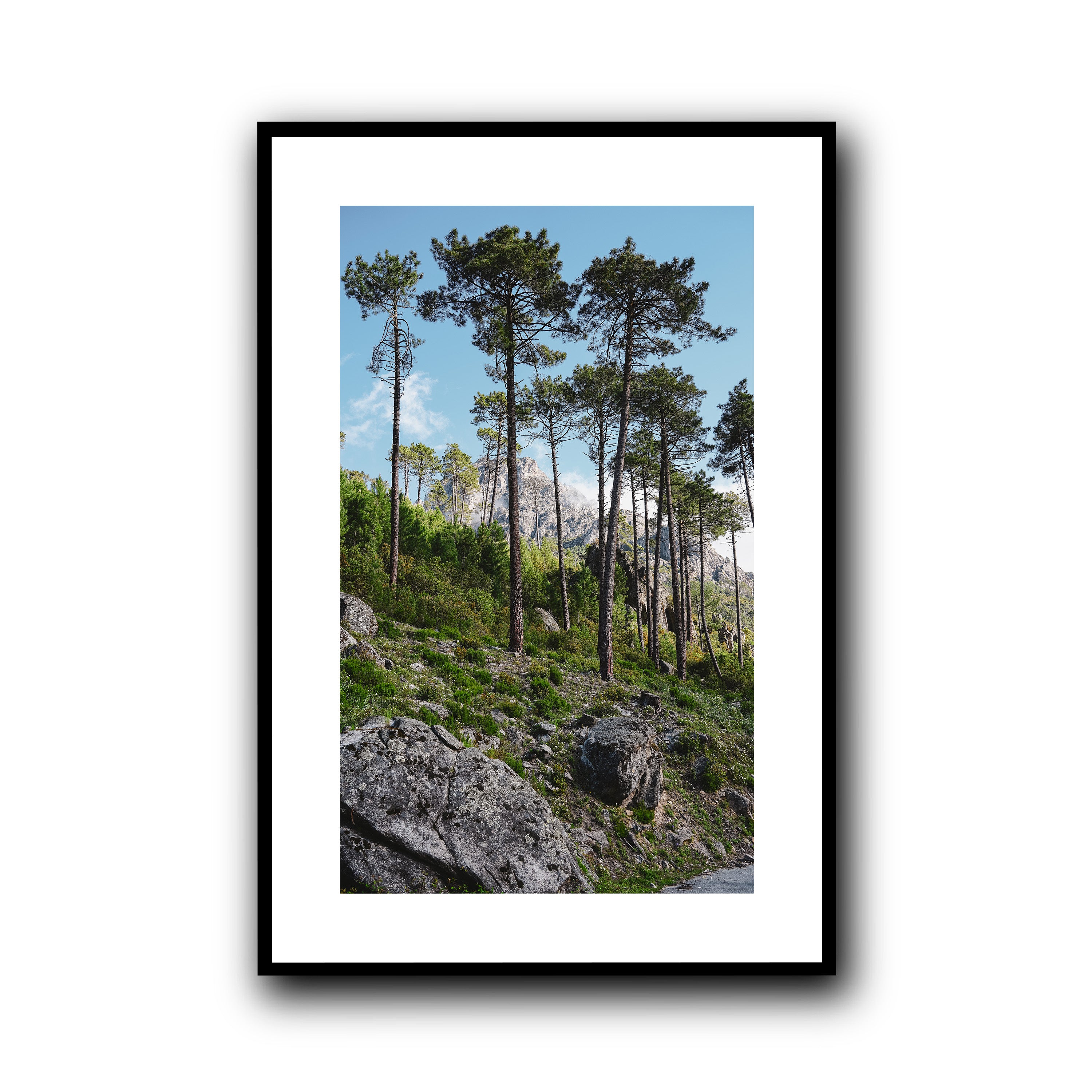 Toward the Sky, Corsica