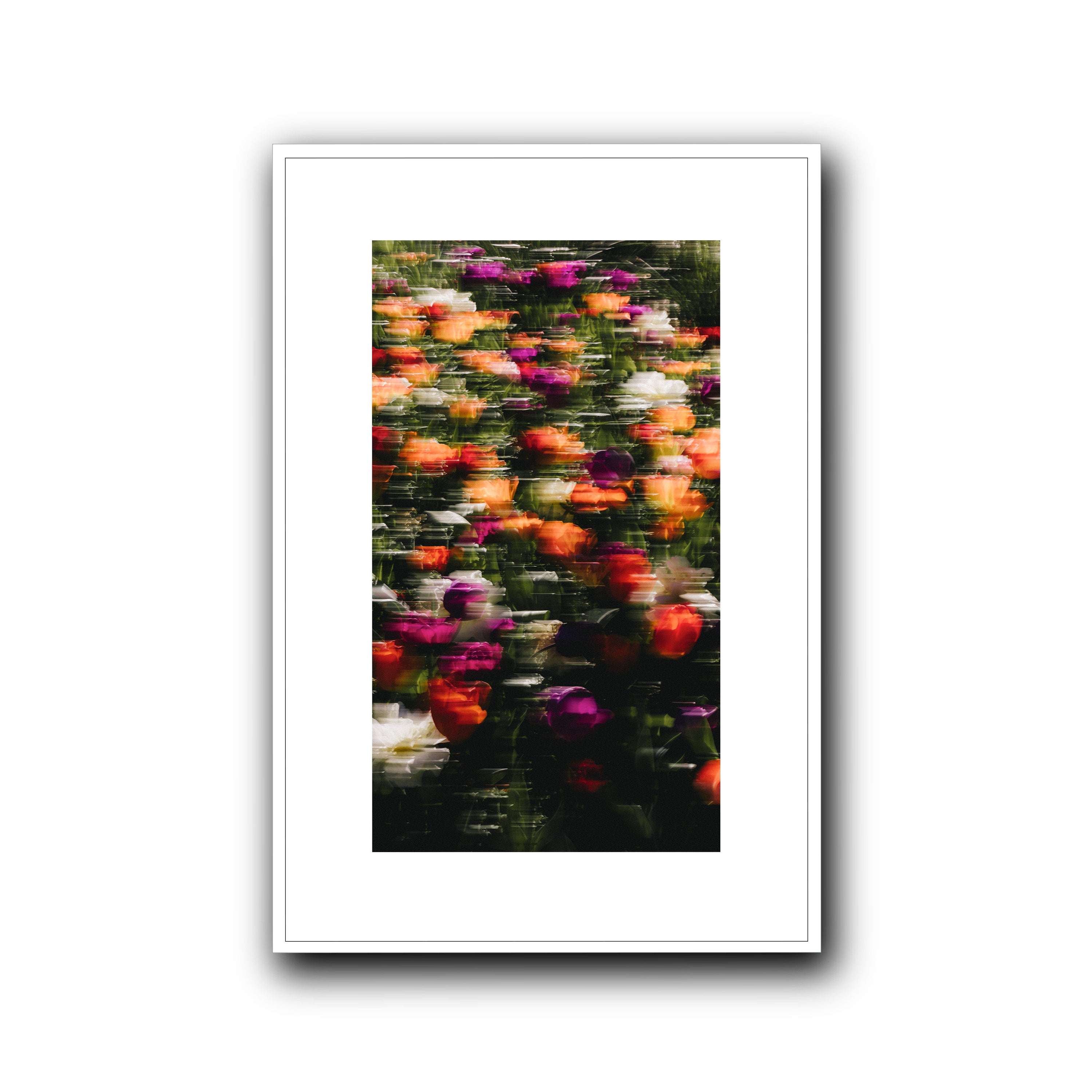 Flowers in Motion, Barcelona