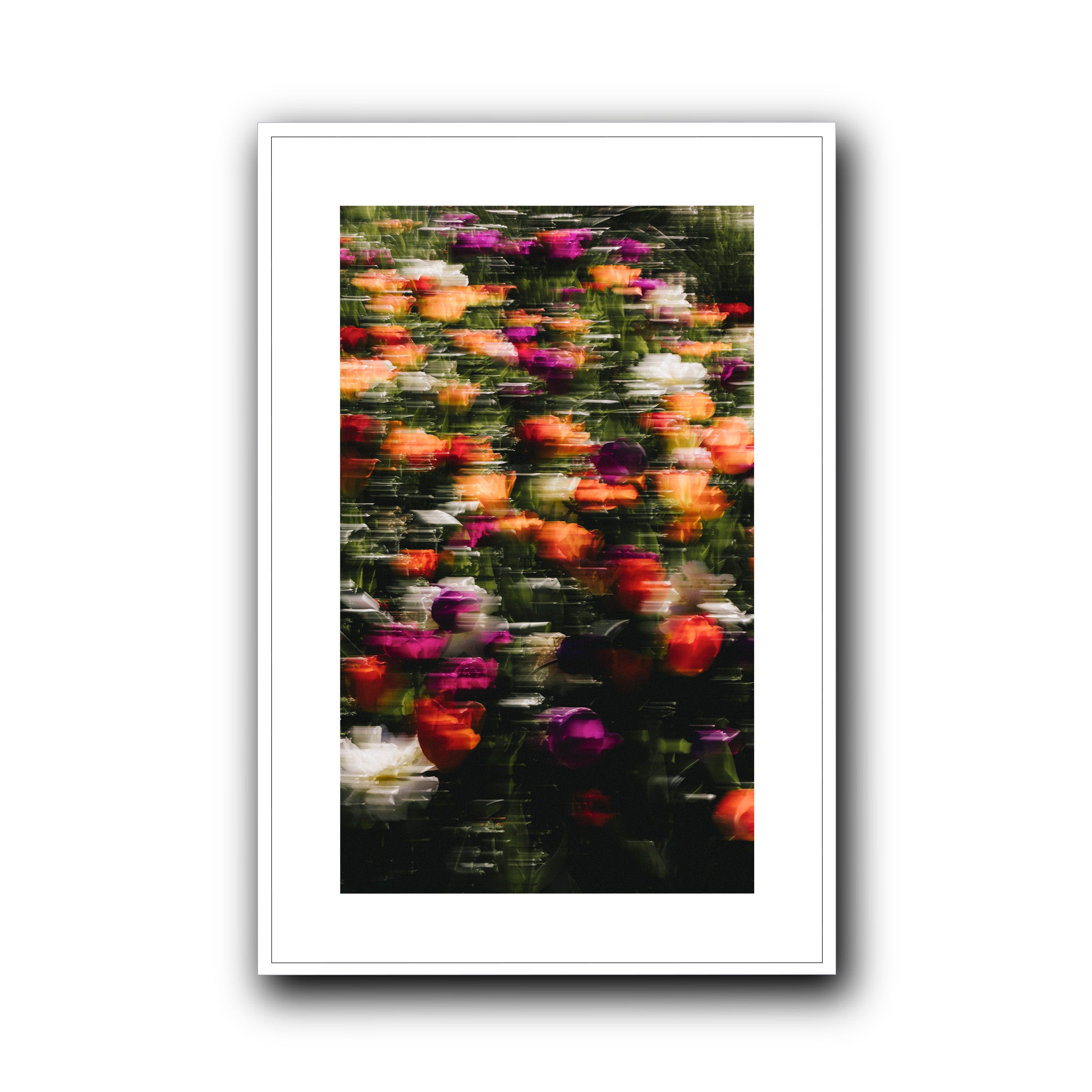 Flowers in Motion, Barcelona