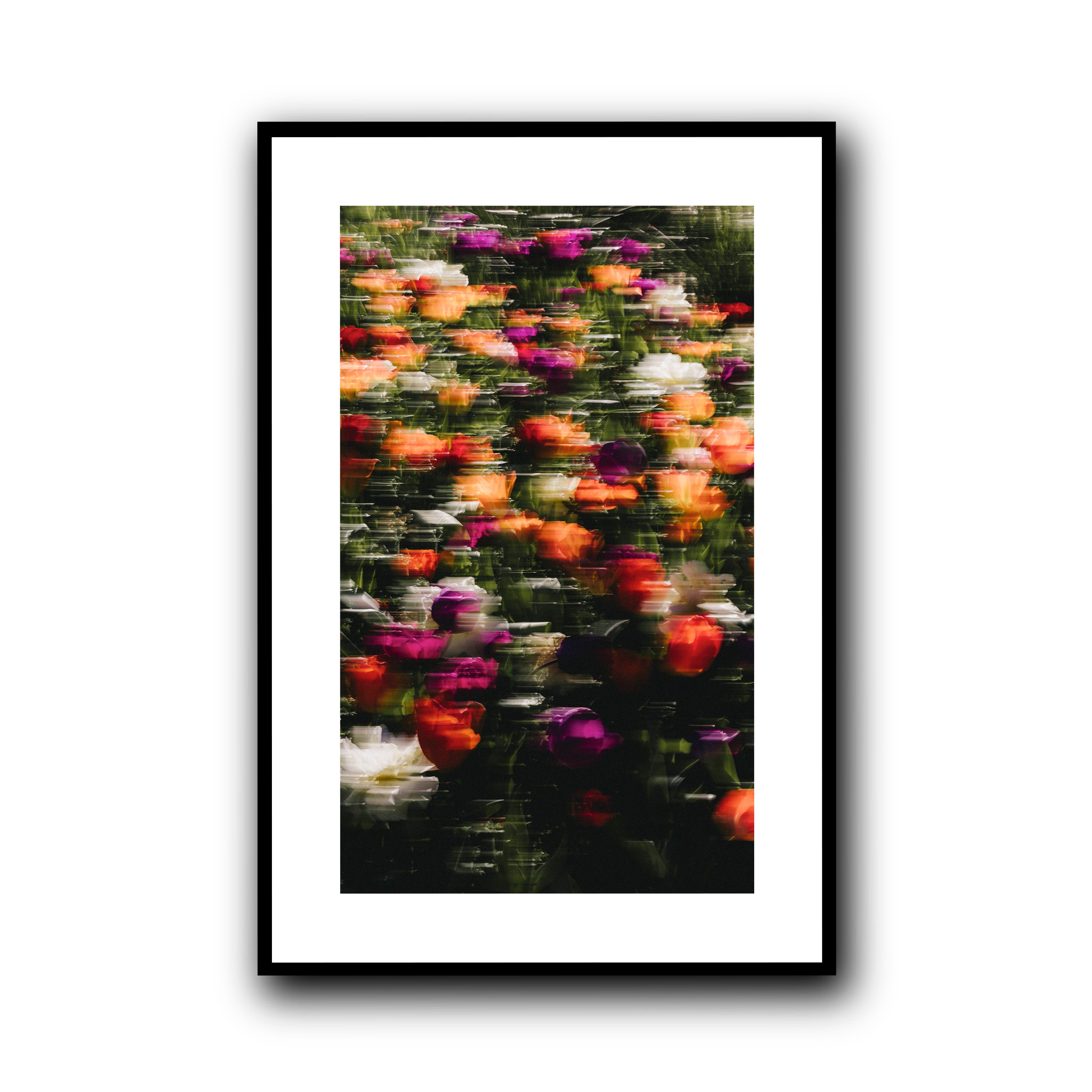 Flowers in Motion, Barcelona
