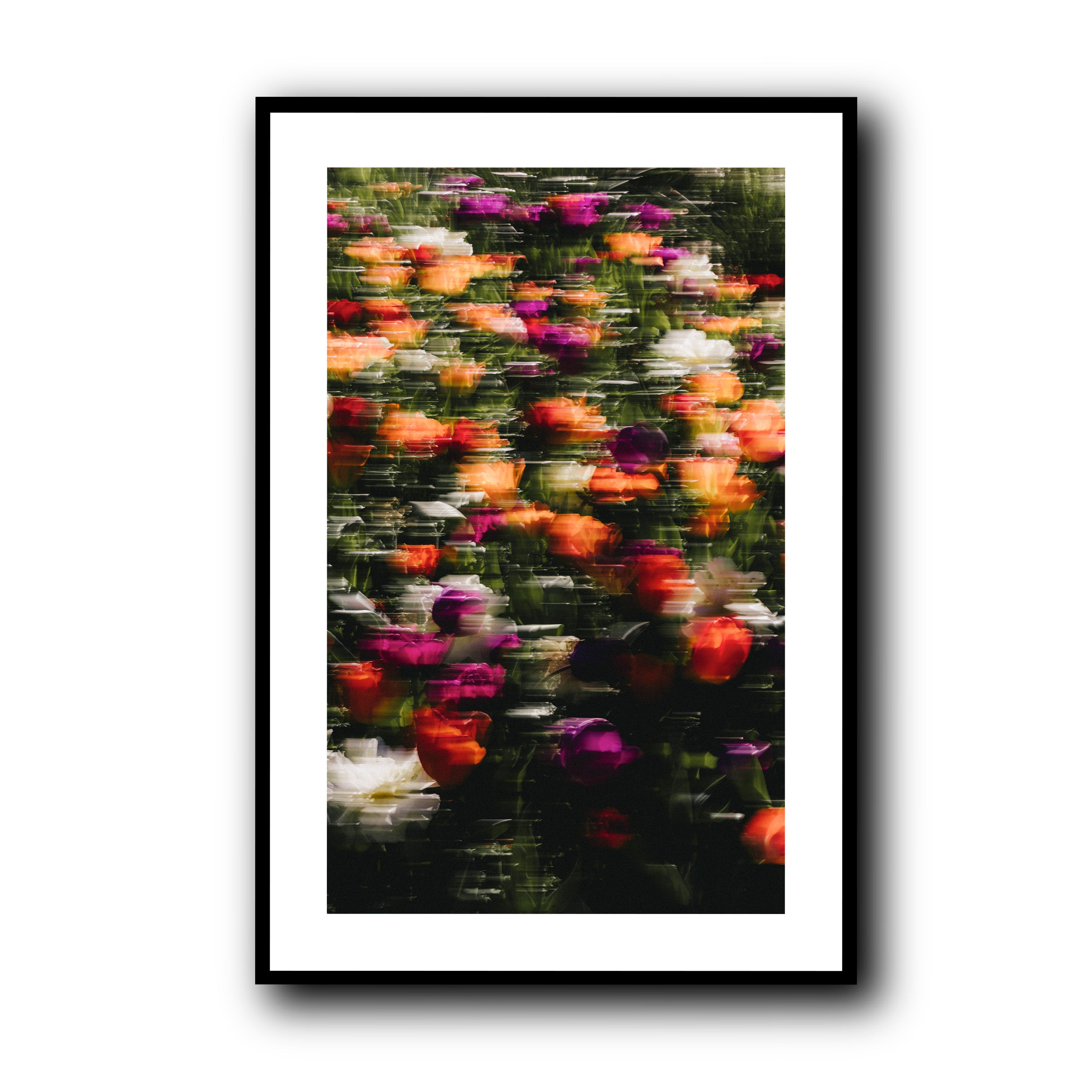Flowers in Motion, Barcelona