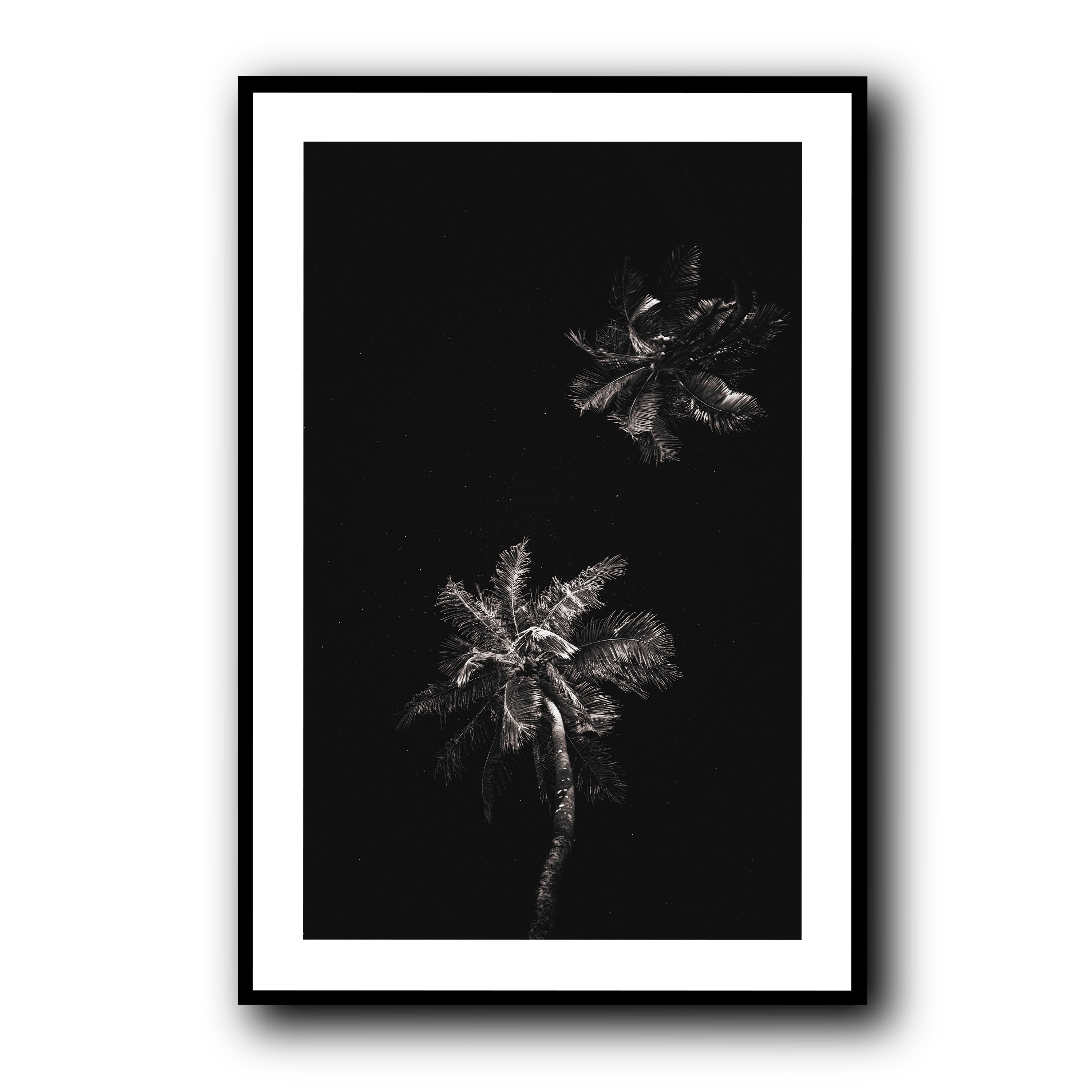 Dark Coco, Tahiti
