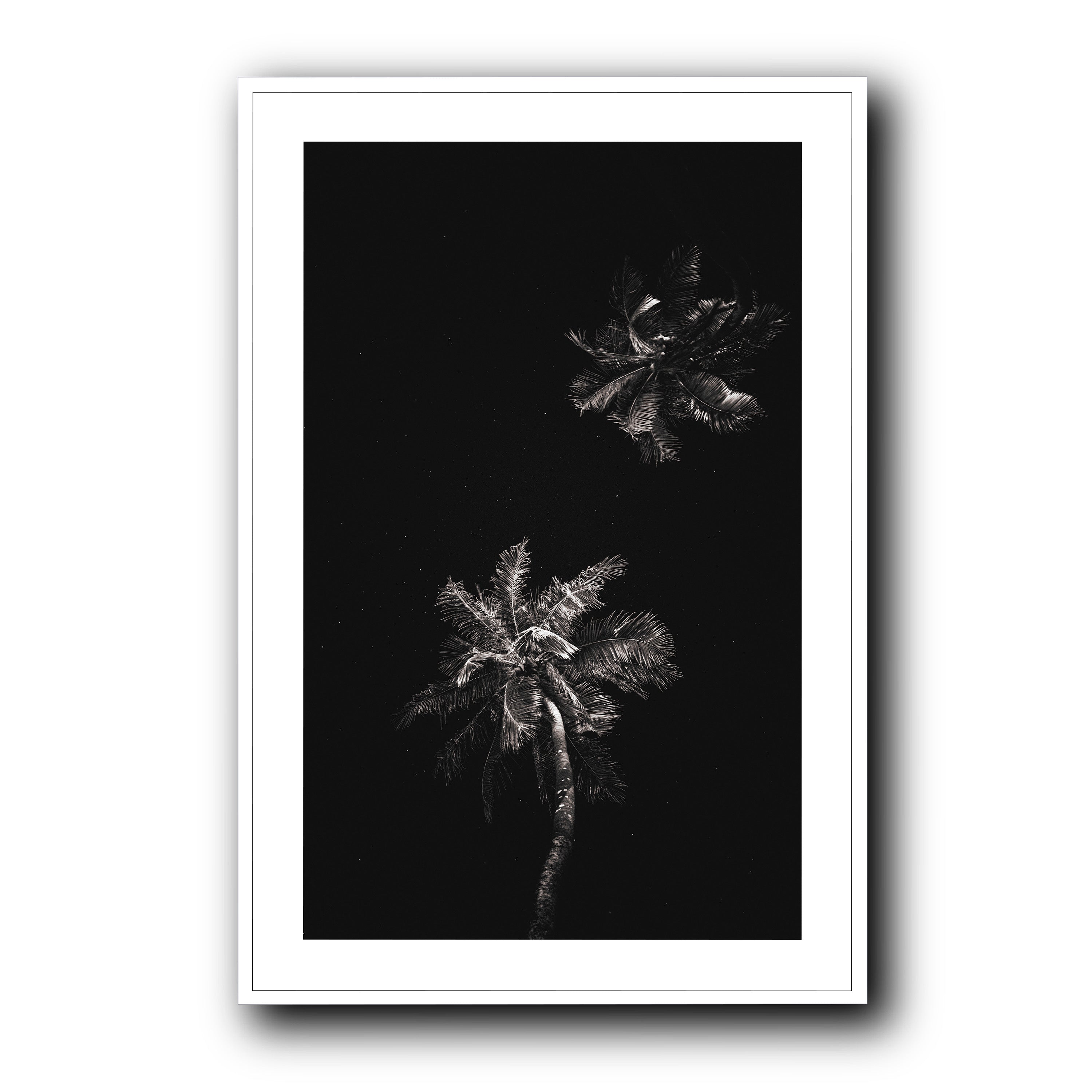 Dark Coco, Tahiti