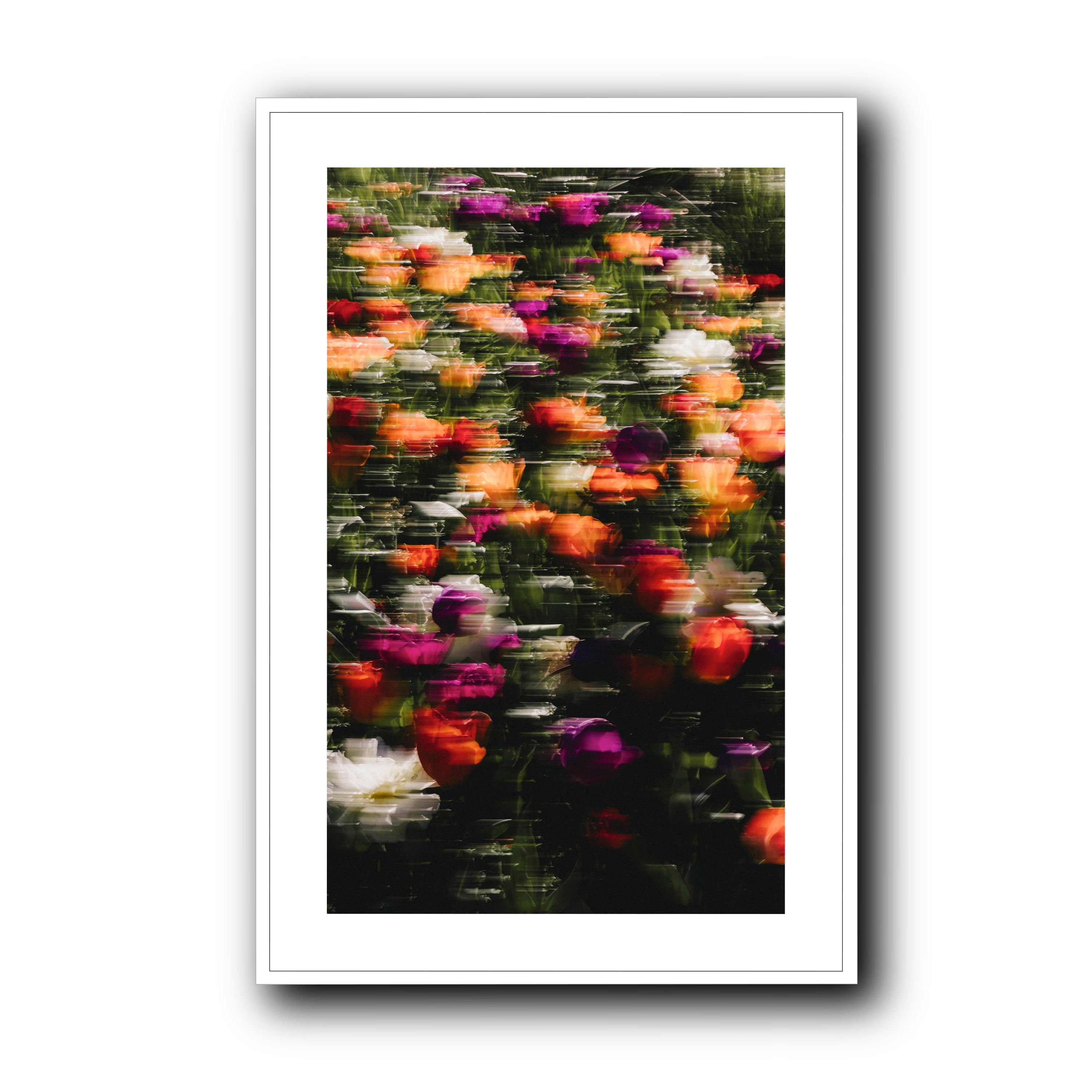 Flowers in Motion, Barcelona