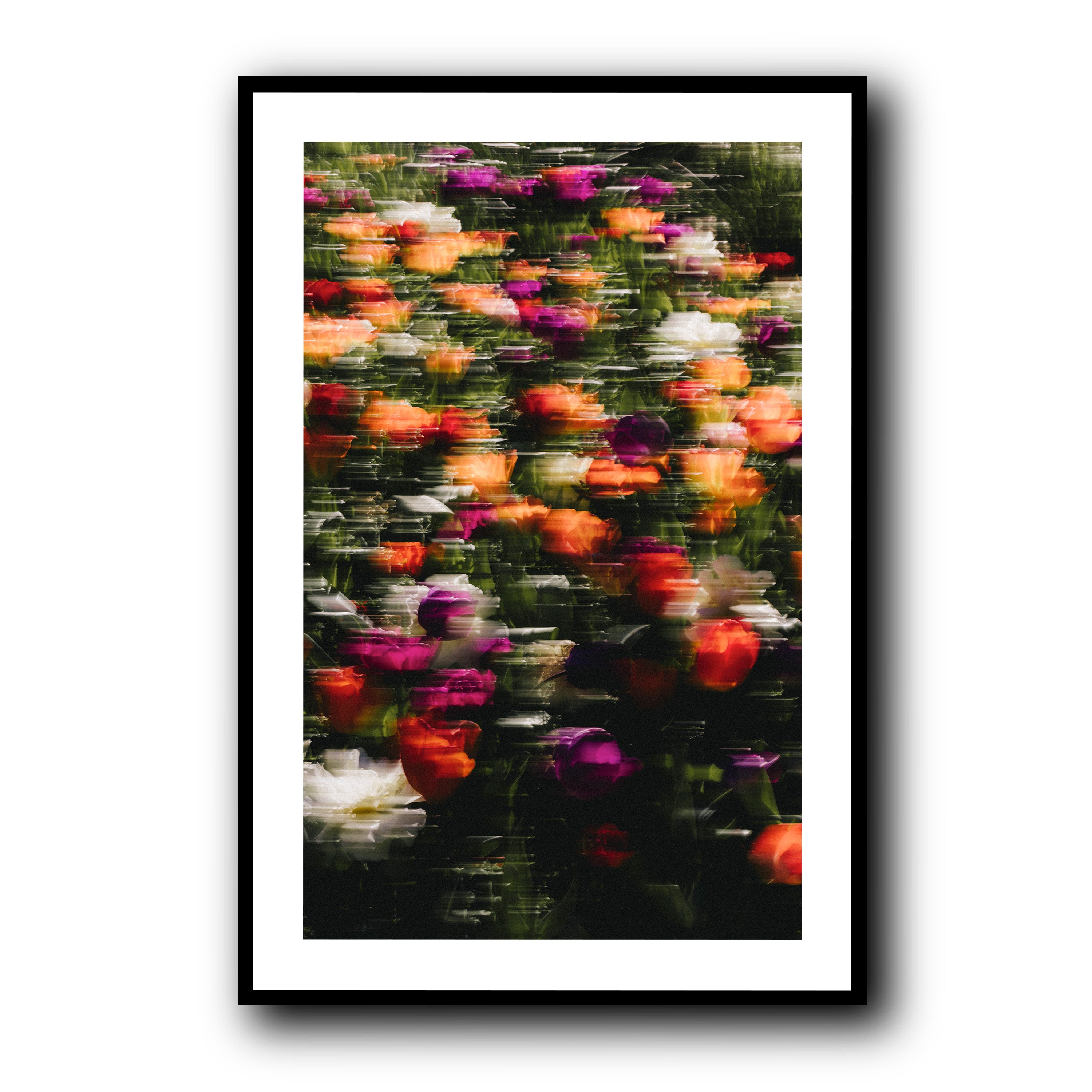 Flowers in Motion, Barcelona