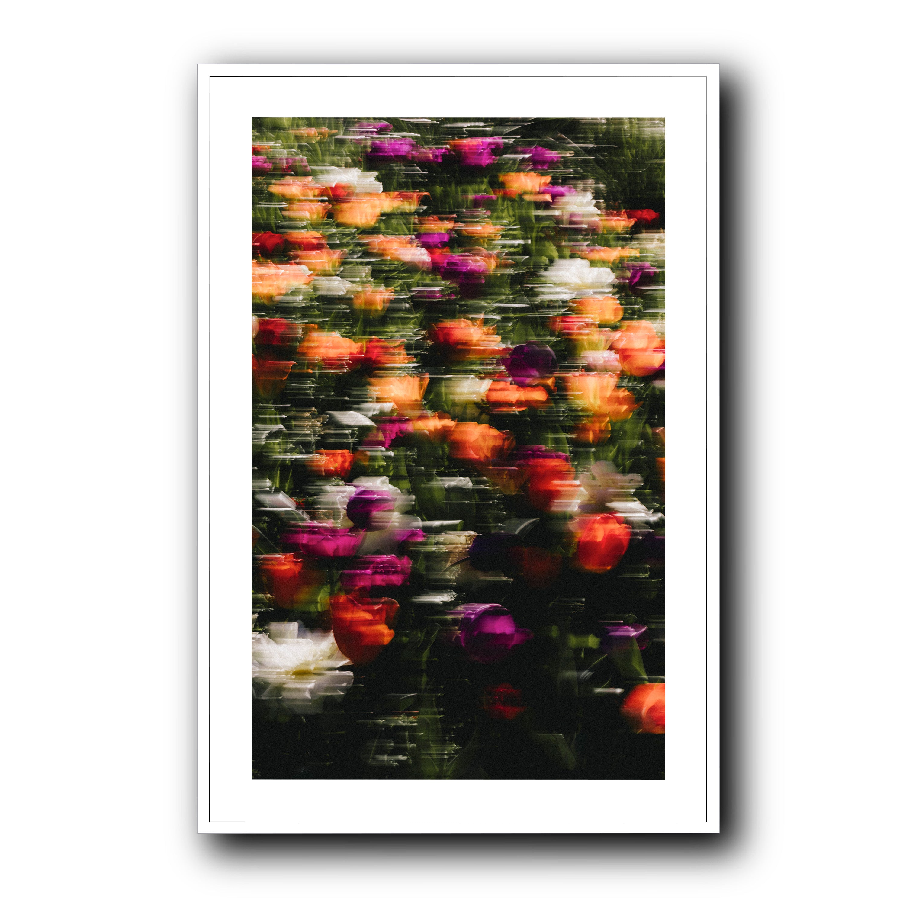 Flowers in Motion, Barcelona