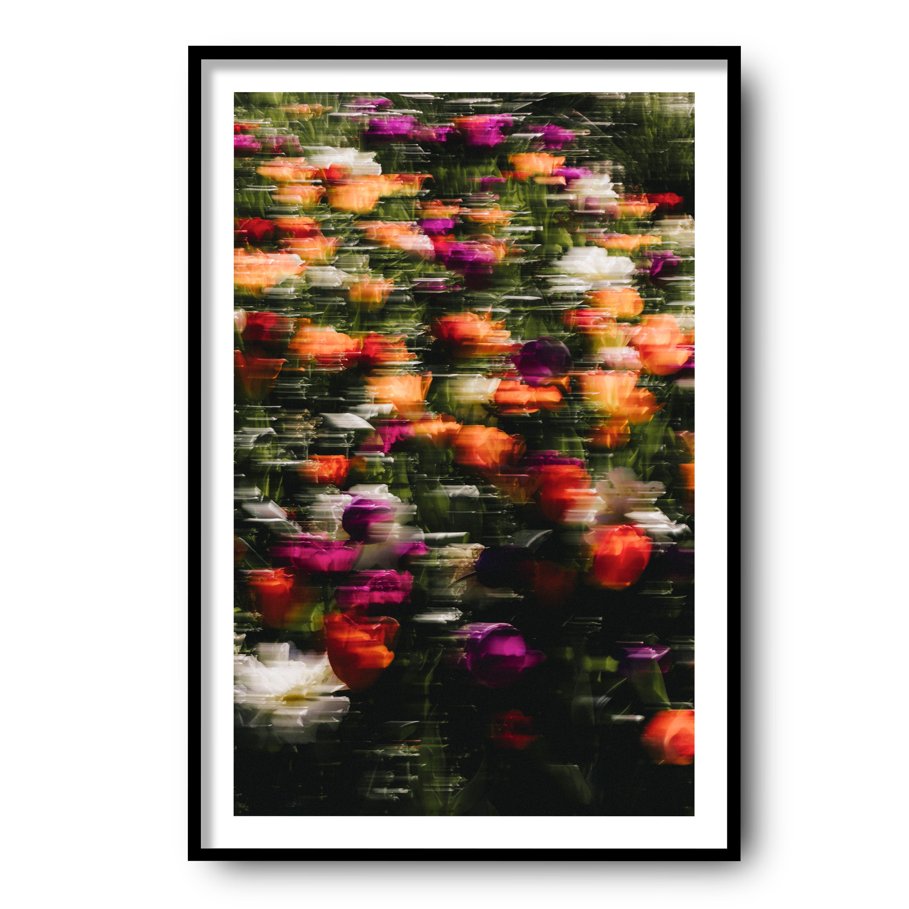 Flowers in Motion, Barcelona