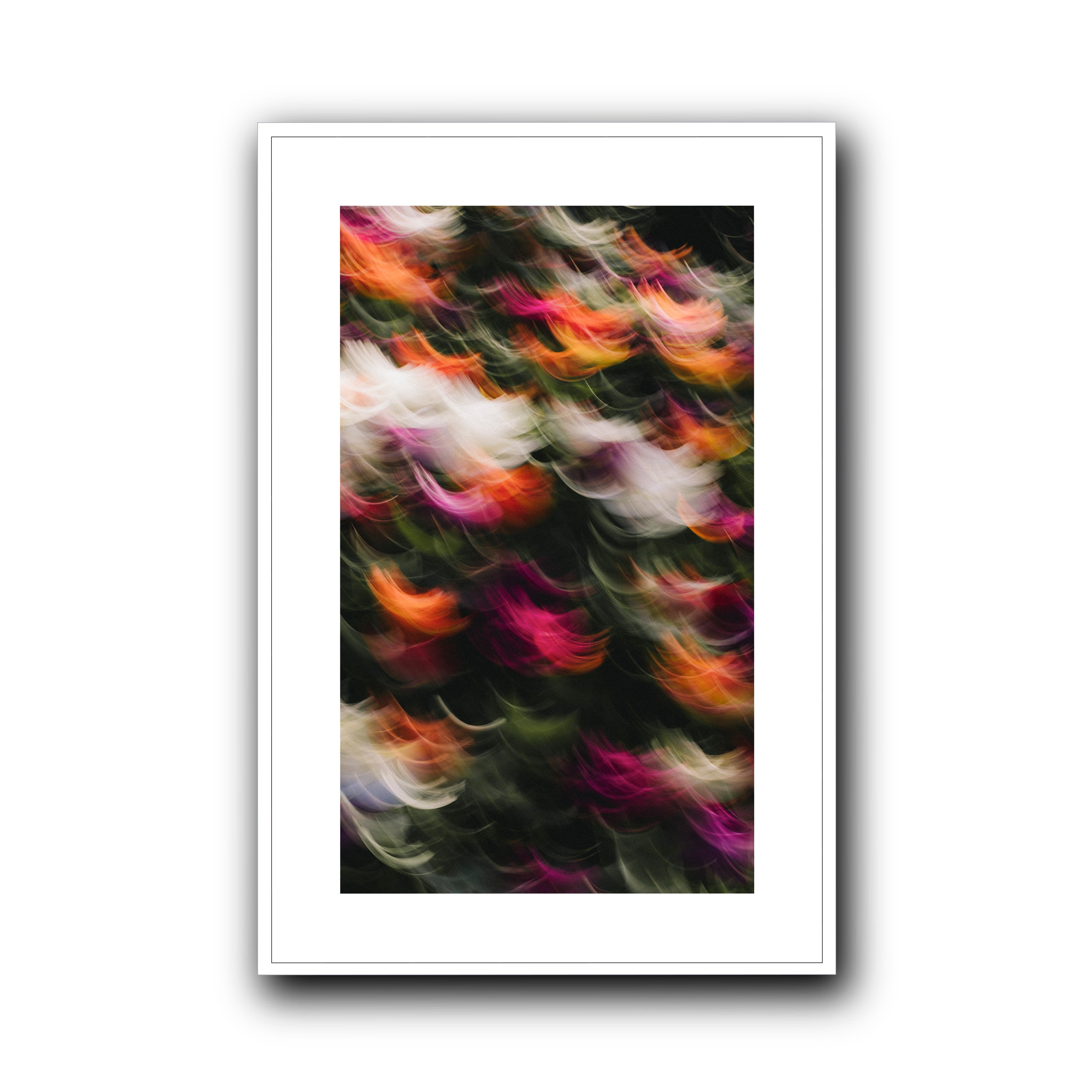 Flowers in Motion 2, Barcelona