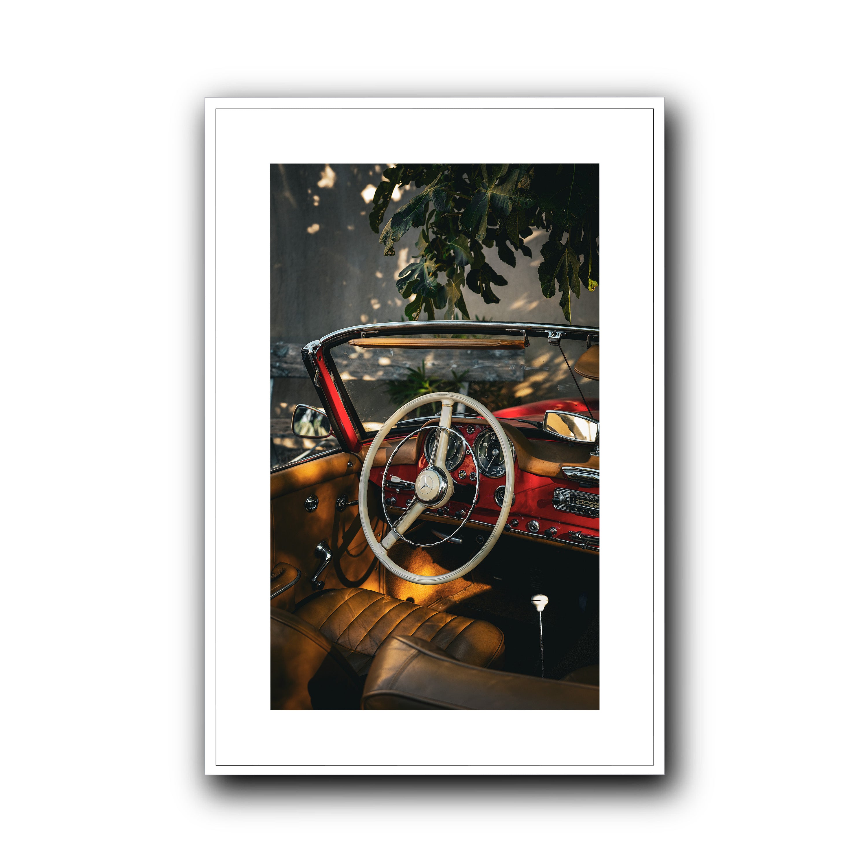 Nap Under the Fig Tree, Provence