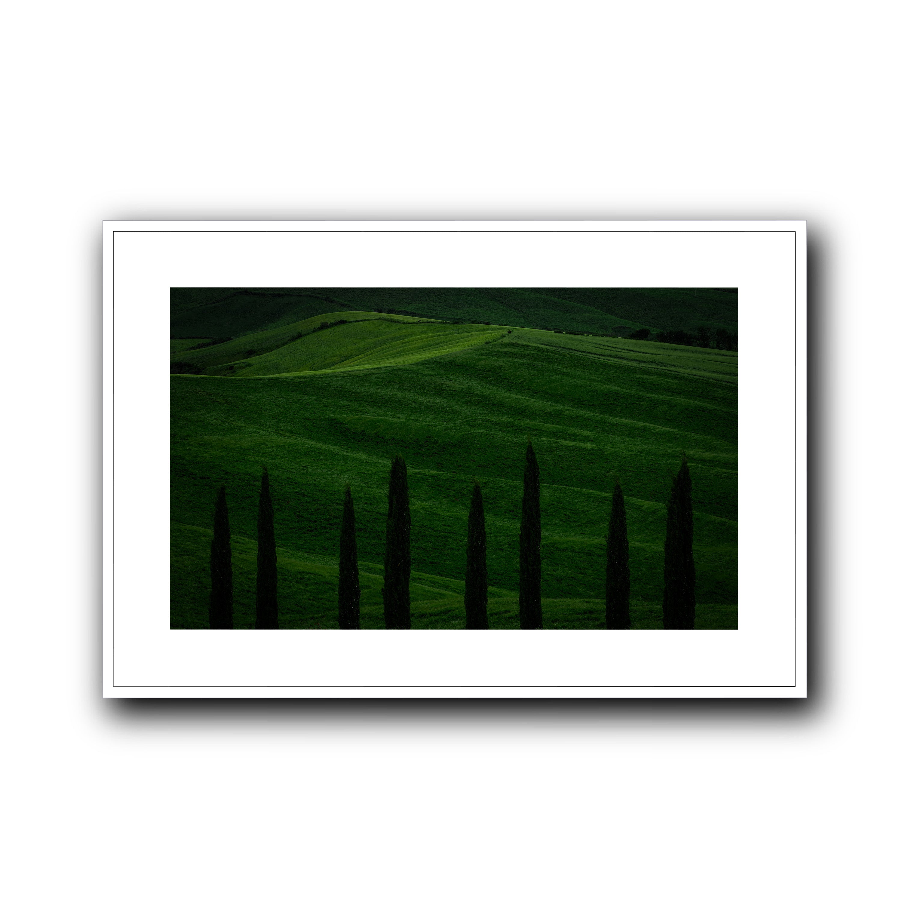 Green Fields, Tuscany