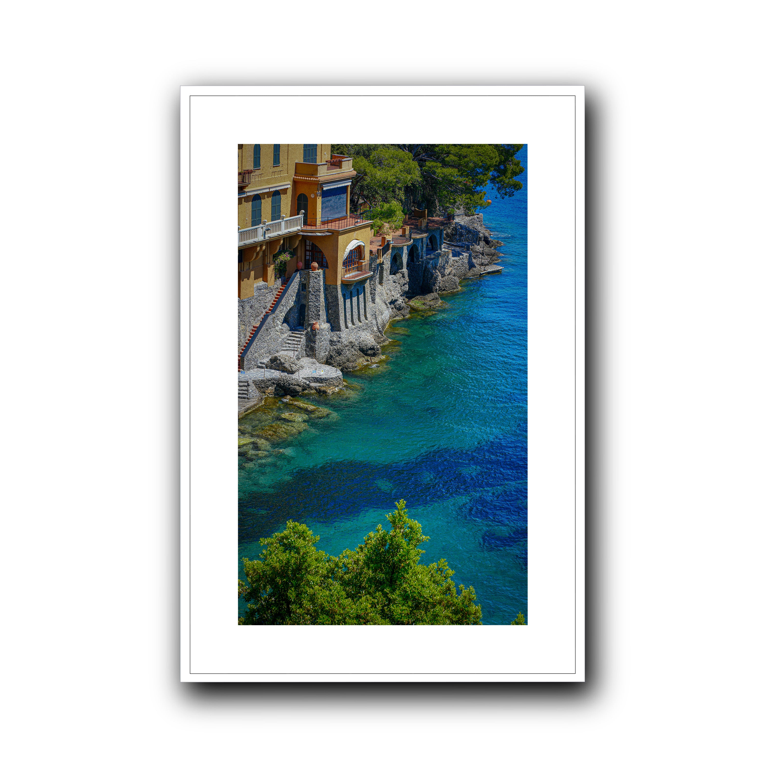 Morning Dive, Portofino