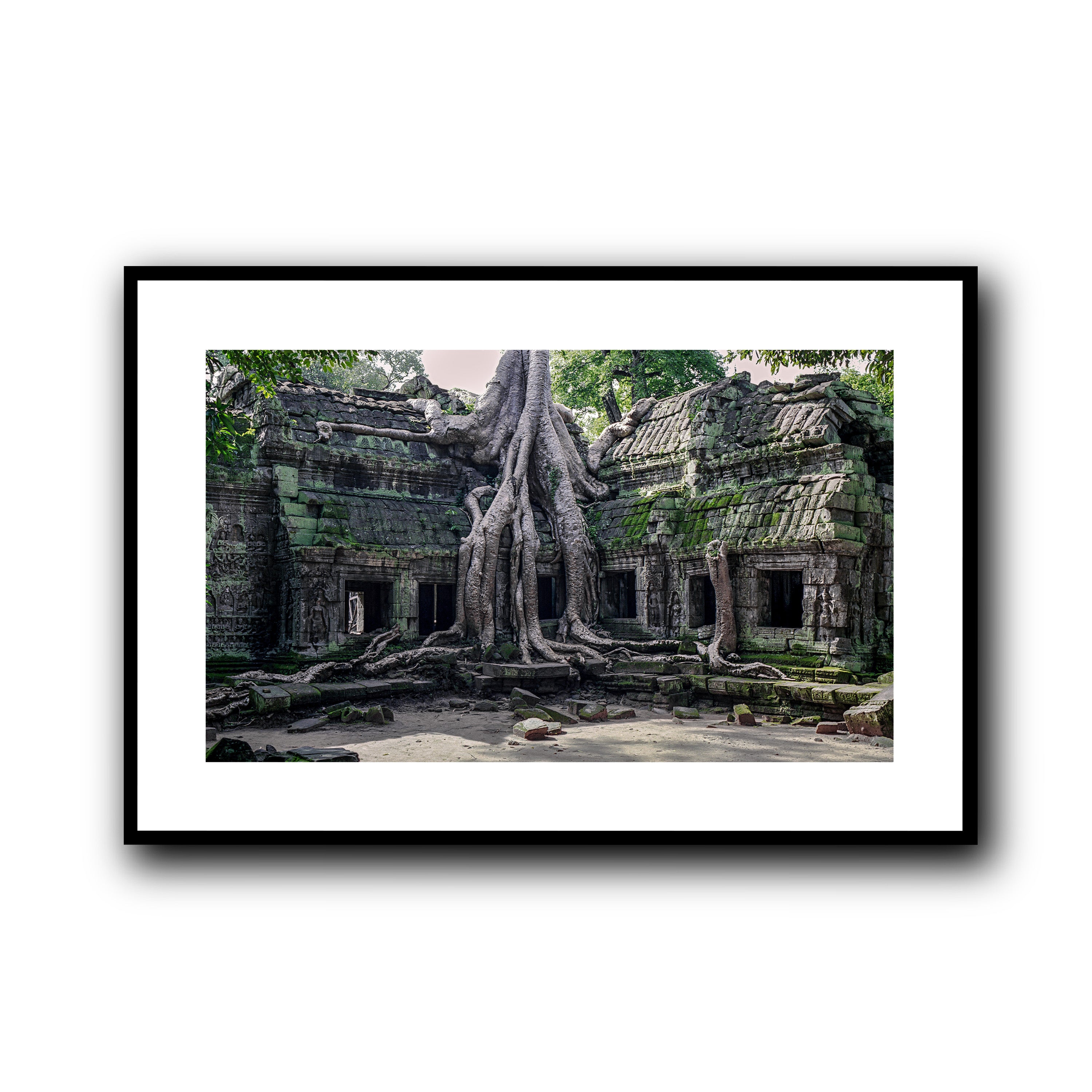 Ta Prohm, Siam Reap