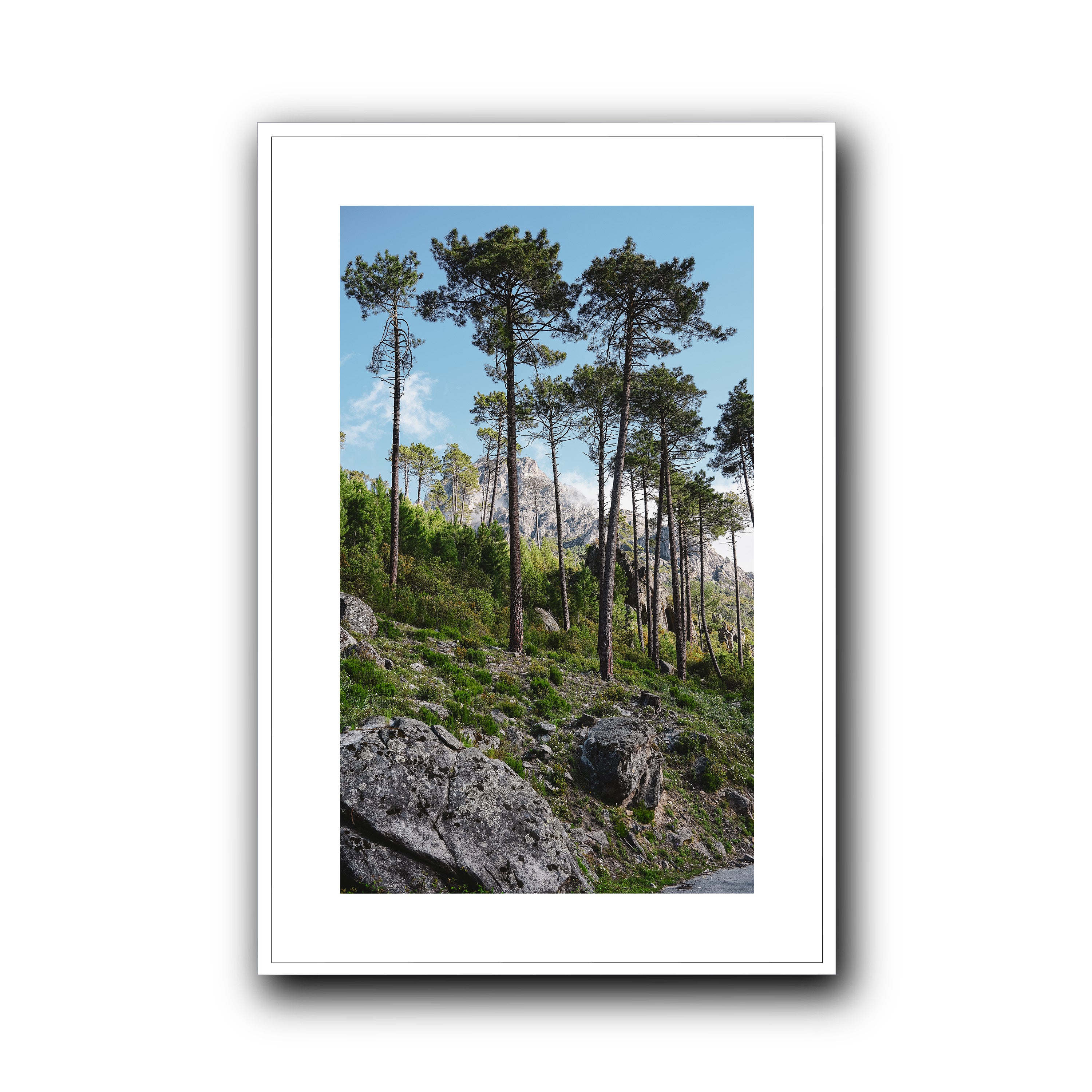 Toward the Sky, Corsica